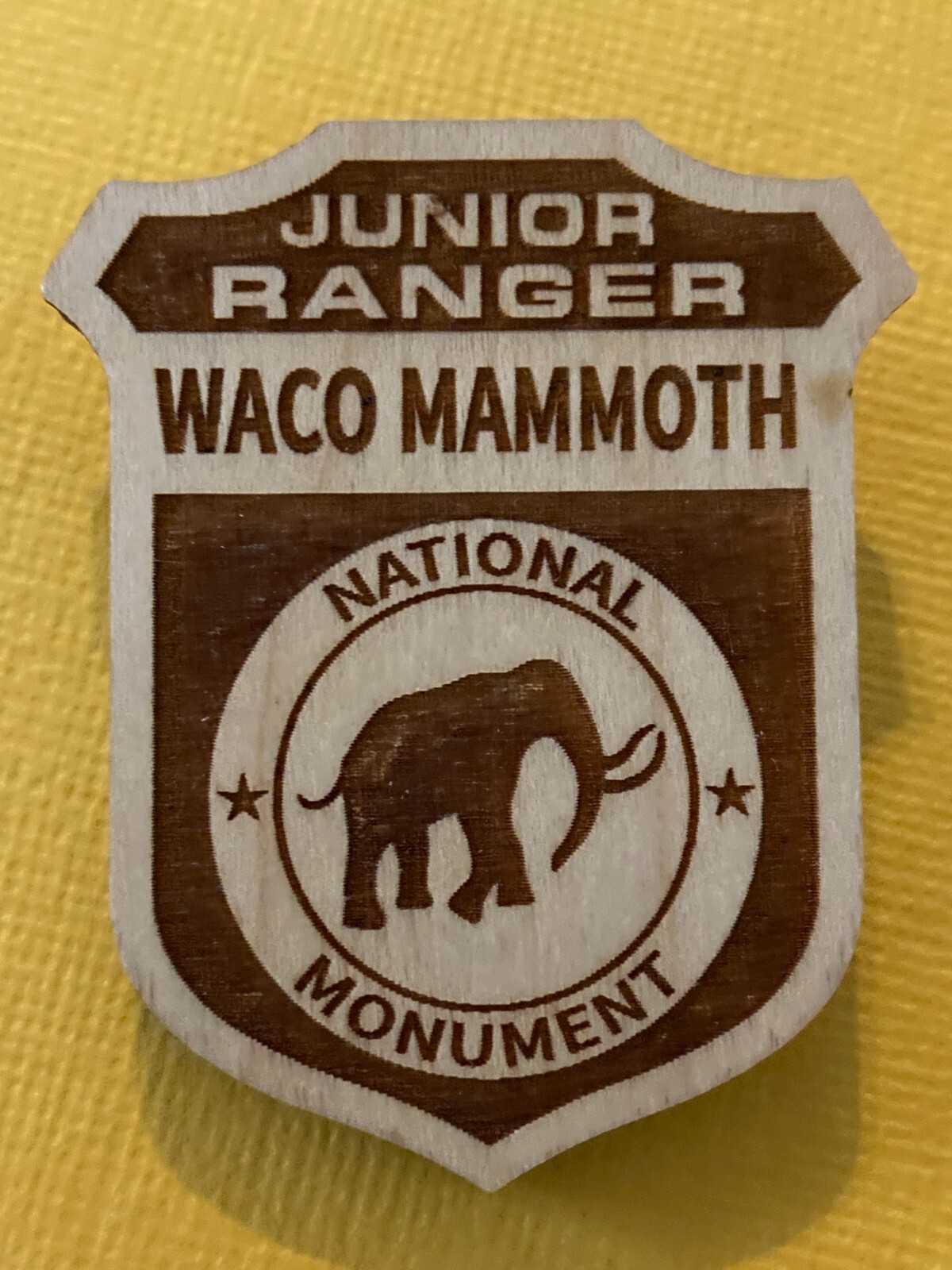 WACO MAMMOTH TEXAS NATIONAL PARK JUNIOR RANGER BADGE Post Dinosaur Age Fossils