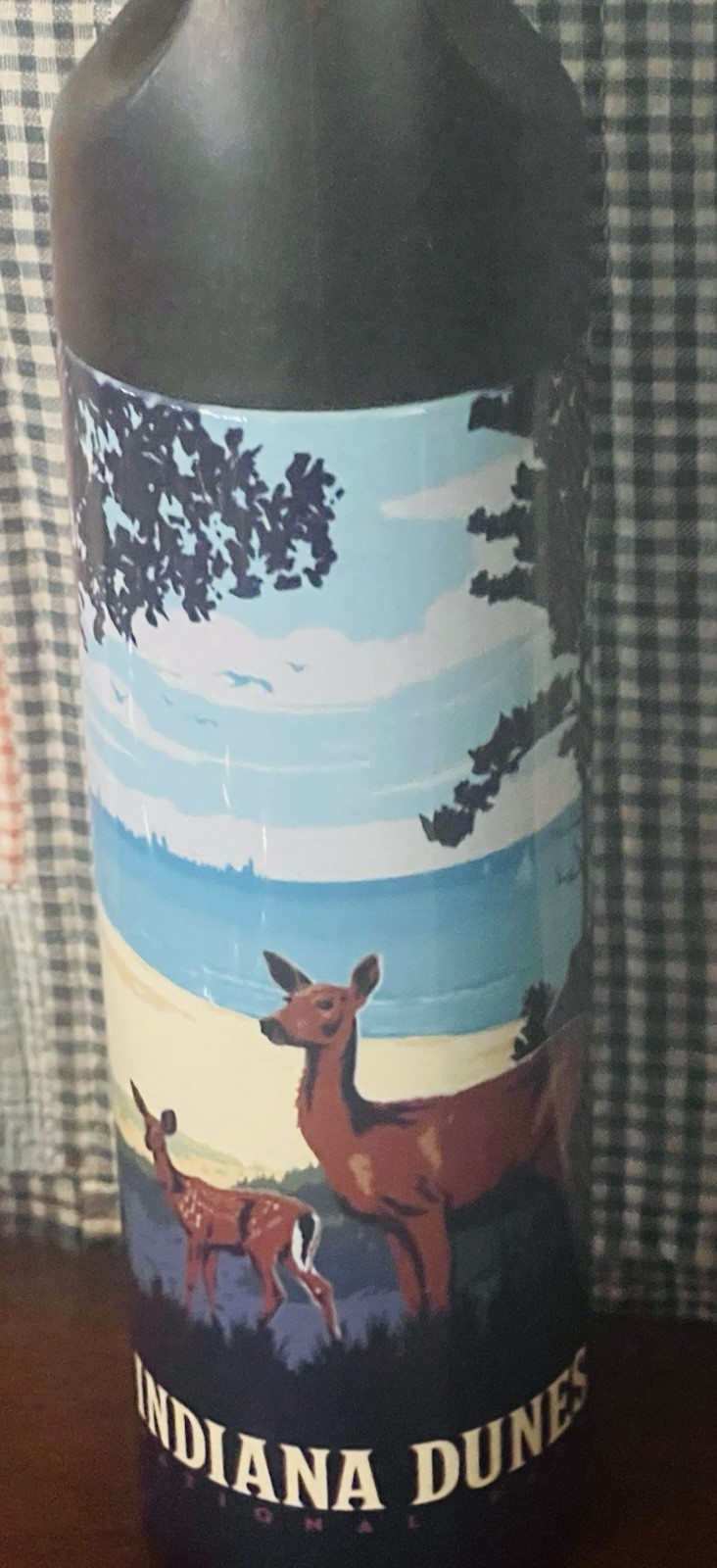 NEW Indiana Dunes National Park Travel Souvenir Thermos Stainless Steel 16oz !