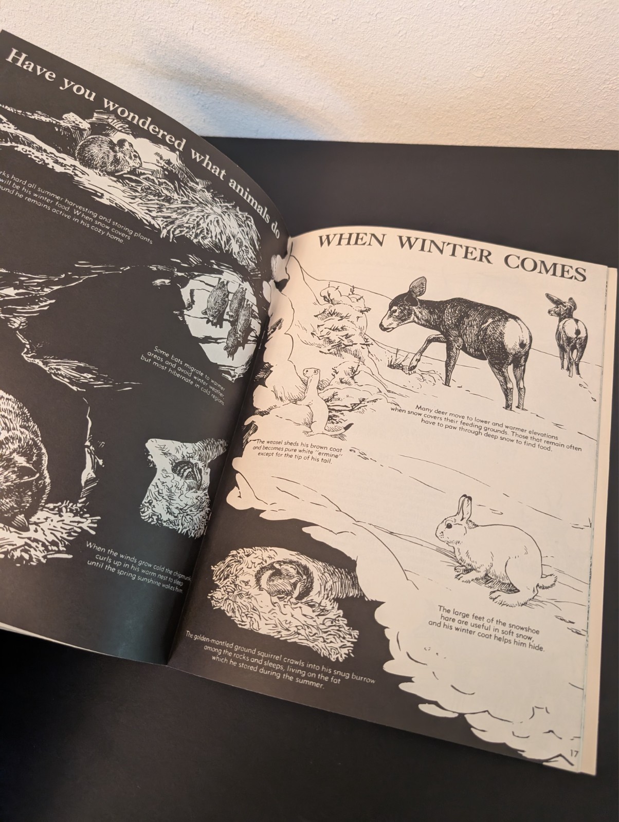 Vtg Animal Friends of Yellowstone Publication Fran Hubard Bob Hines 1971 -Nice