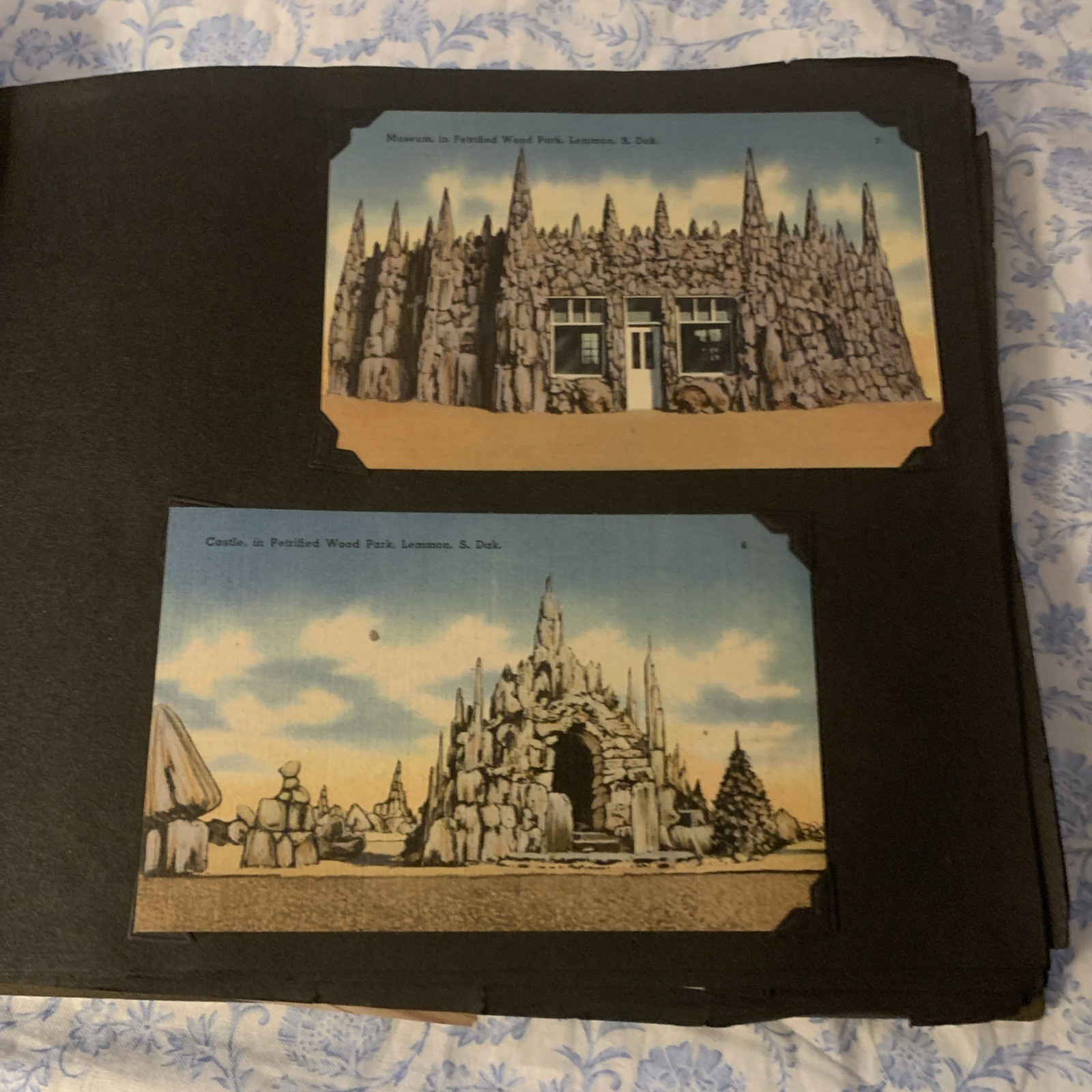 Yellowstone National Park & Western Trip Leather Photo Album W/RPC’s