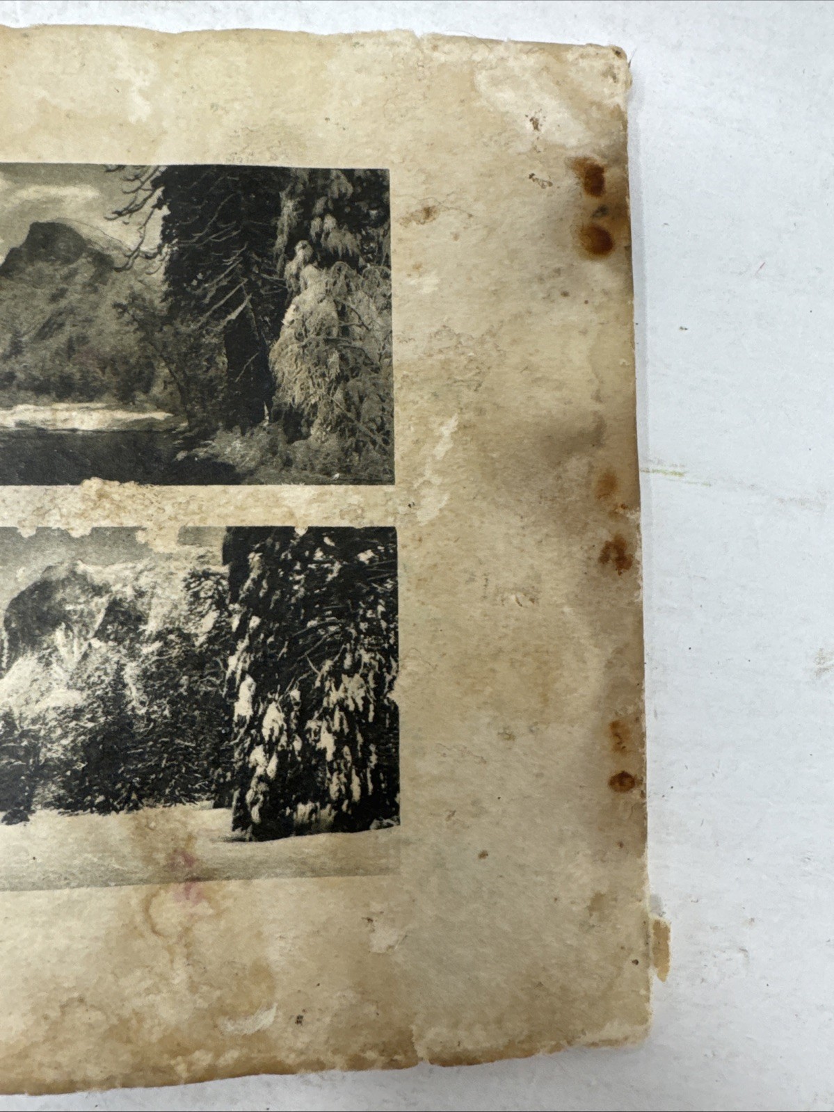 Yosemite National Park California Photo Gravures Set Vintage Pacific Novelty