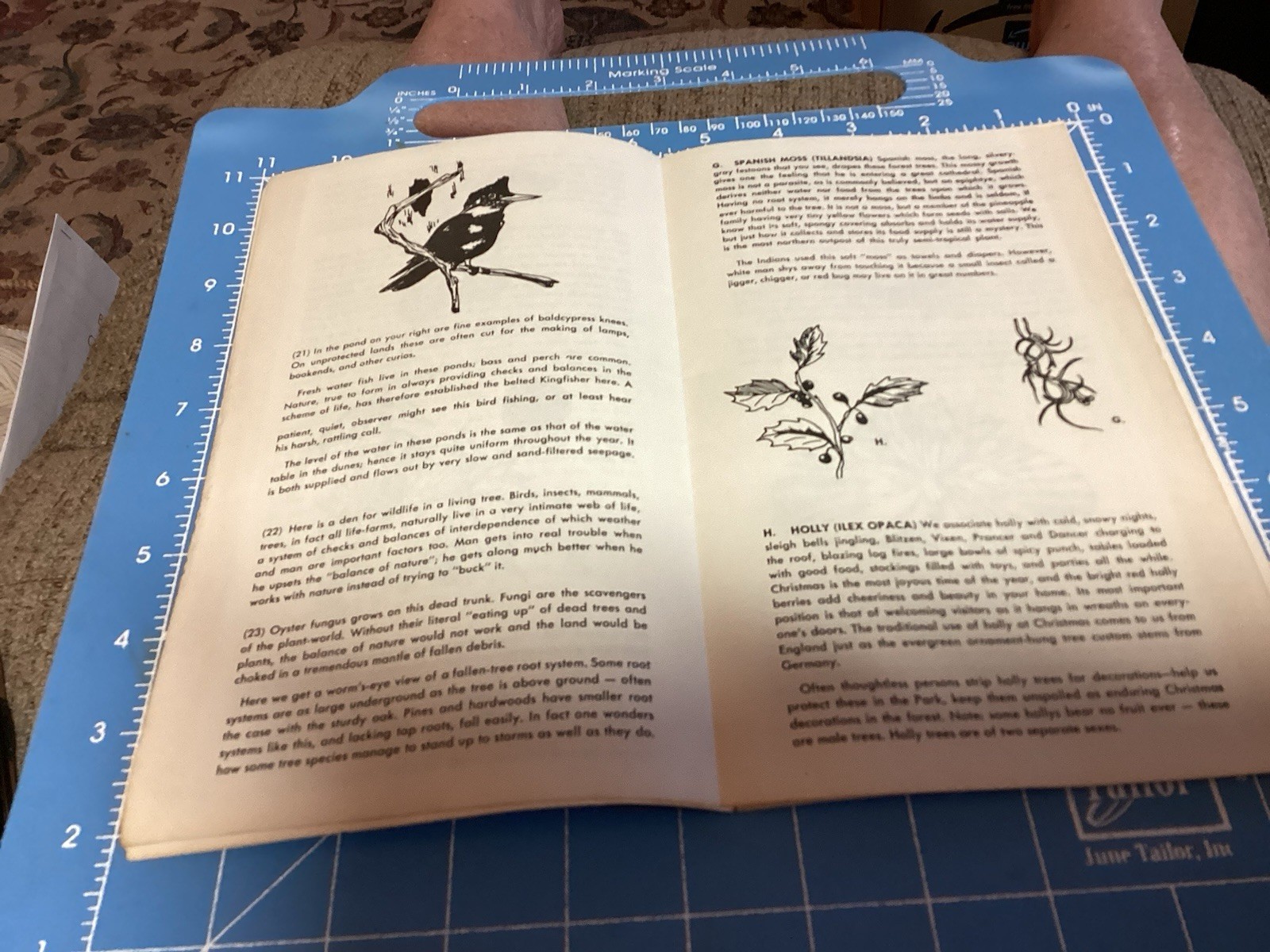 1969 Bald Cypress Nature Trail Brochure And Map