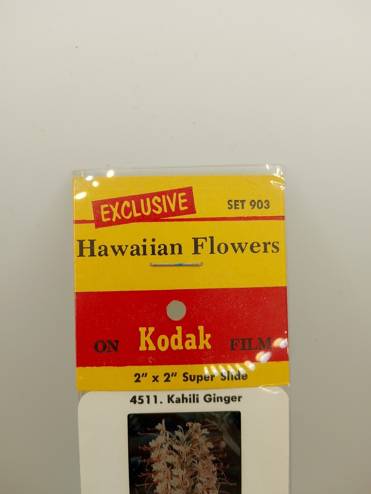 Vintage Kodak 5 Color Slides 2×2 – Hawaiian Flowers