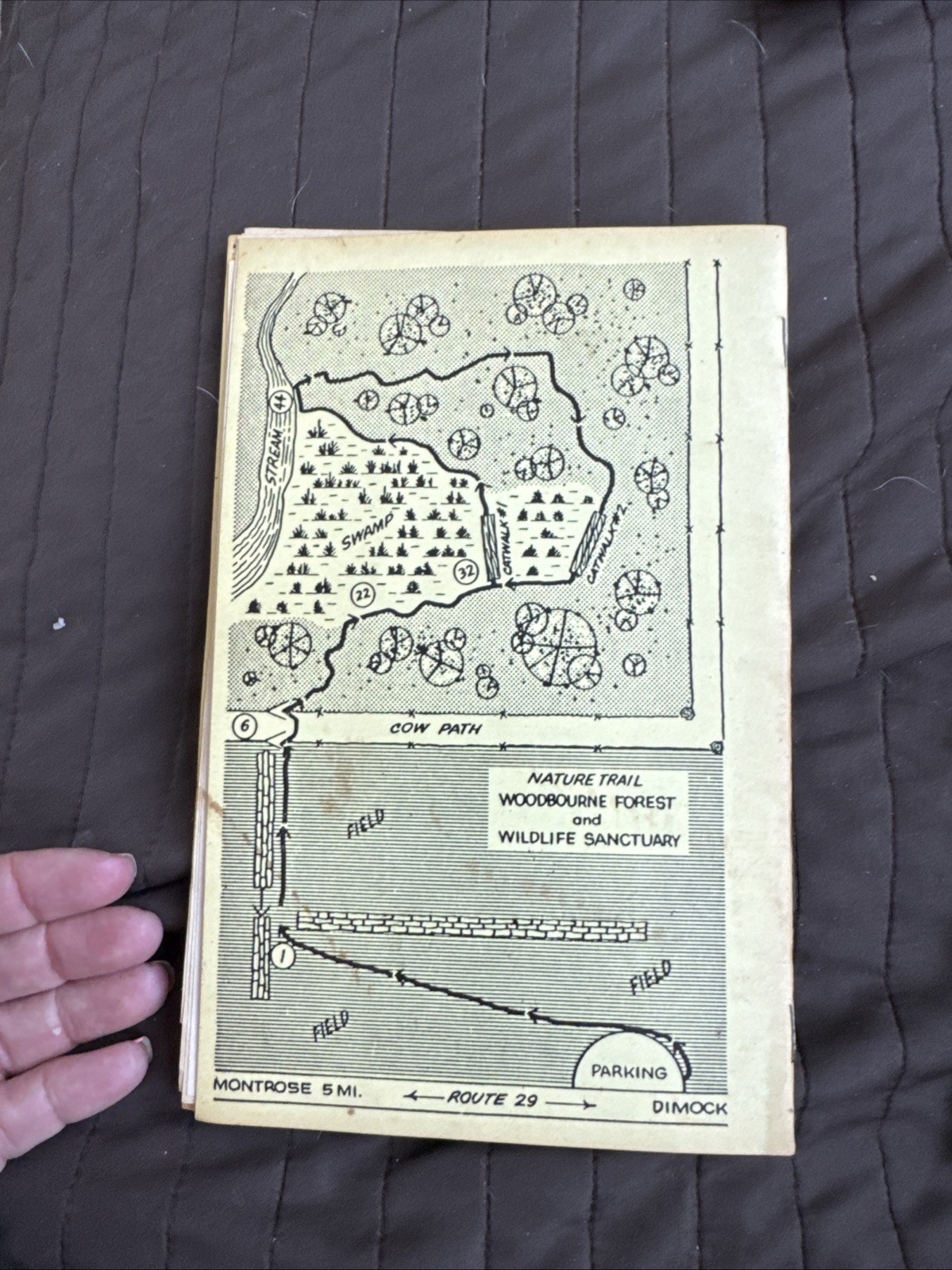 2 Vintage Guides To Nature Trail Guide 1984 Dimock Pa Hike Walk Tour Woodbourne