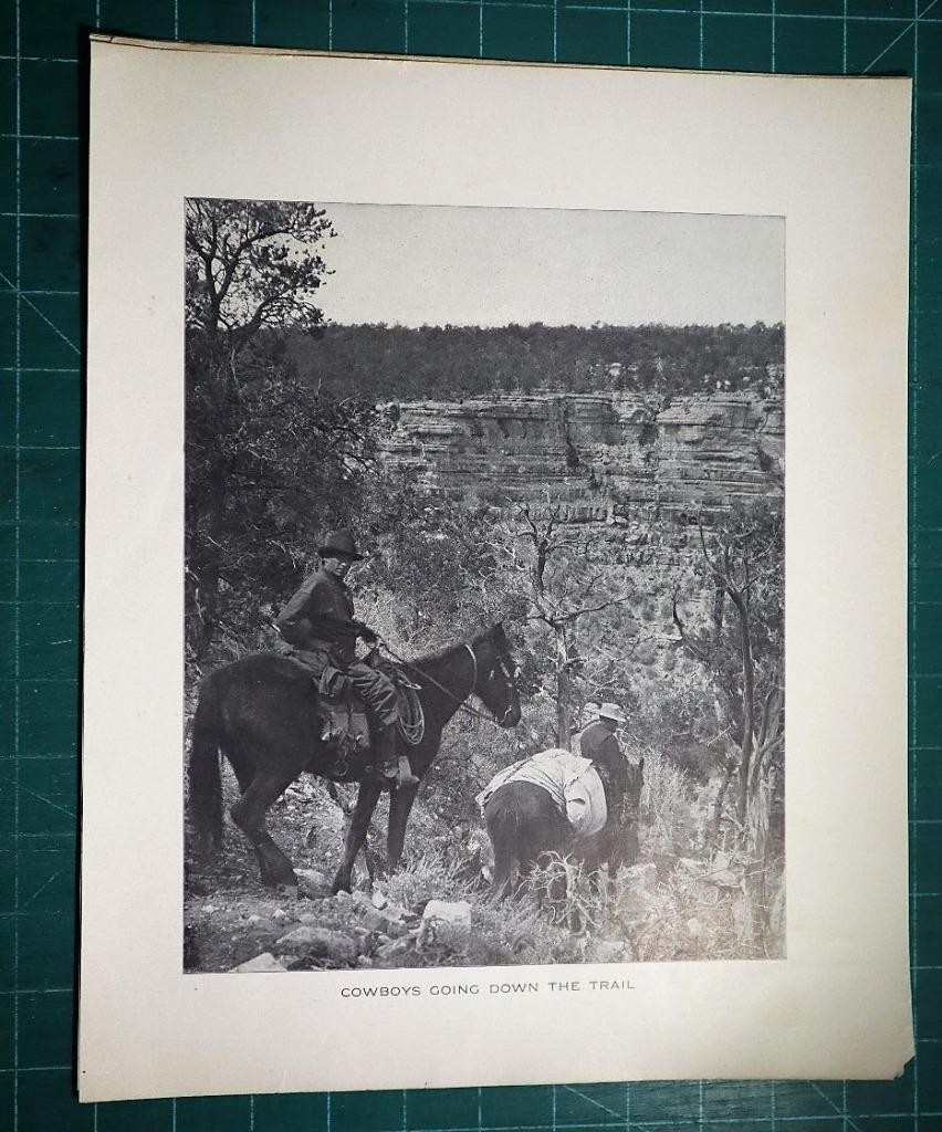 Antique prints (4) The Grand Canyon 1904 Cowboys Bright Angel Cabin Art