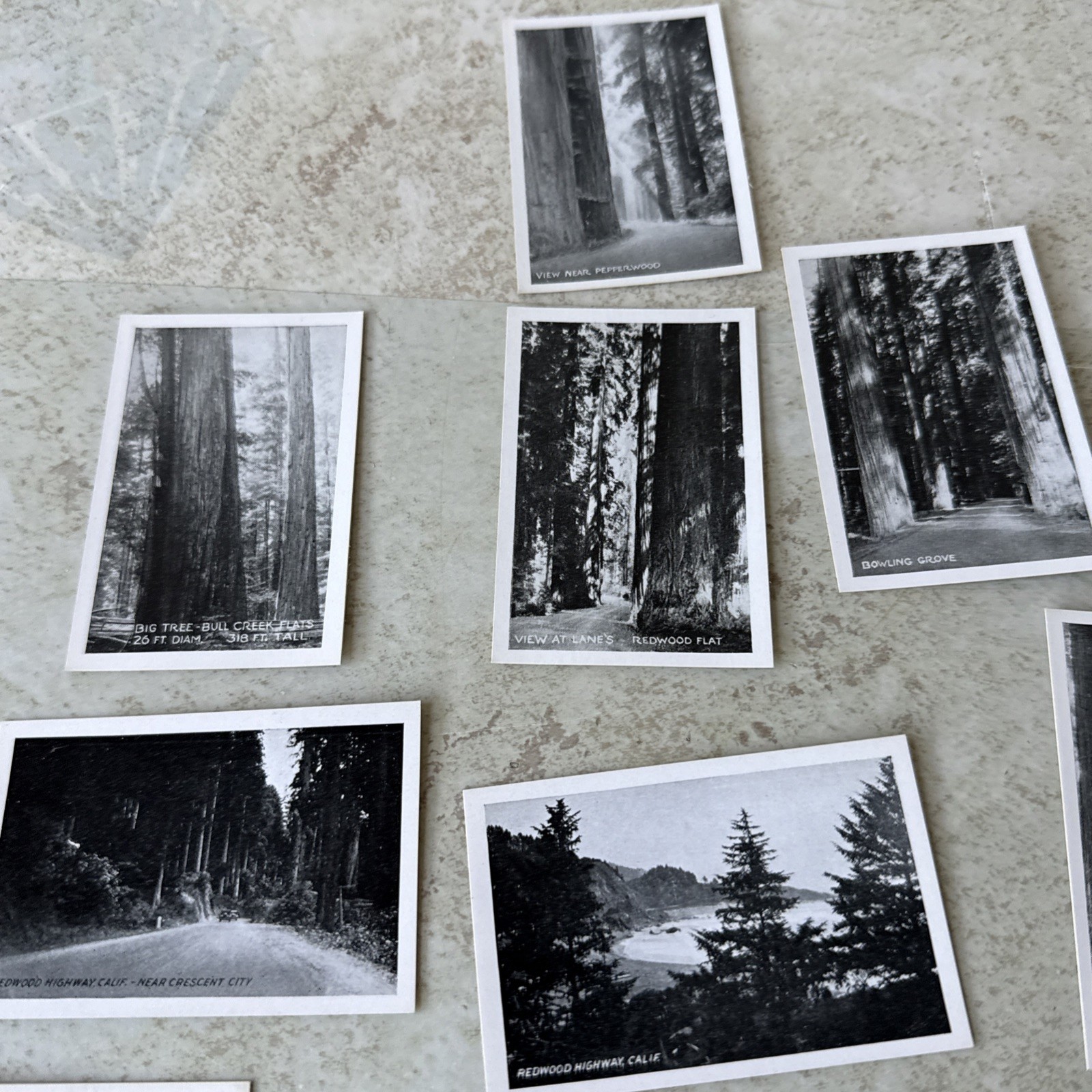 Souvenir Views Vtg picture 18 Mini Redwood Hwy CA