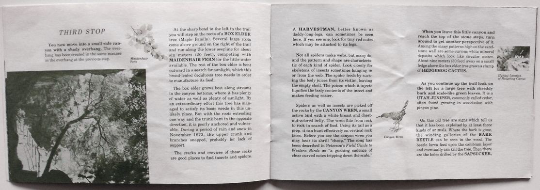 ZION NATIONAL PARK, Utah – Canyon Overlook – 1980 Trail Guide Booklet