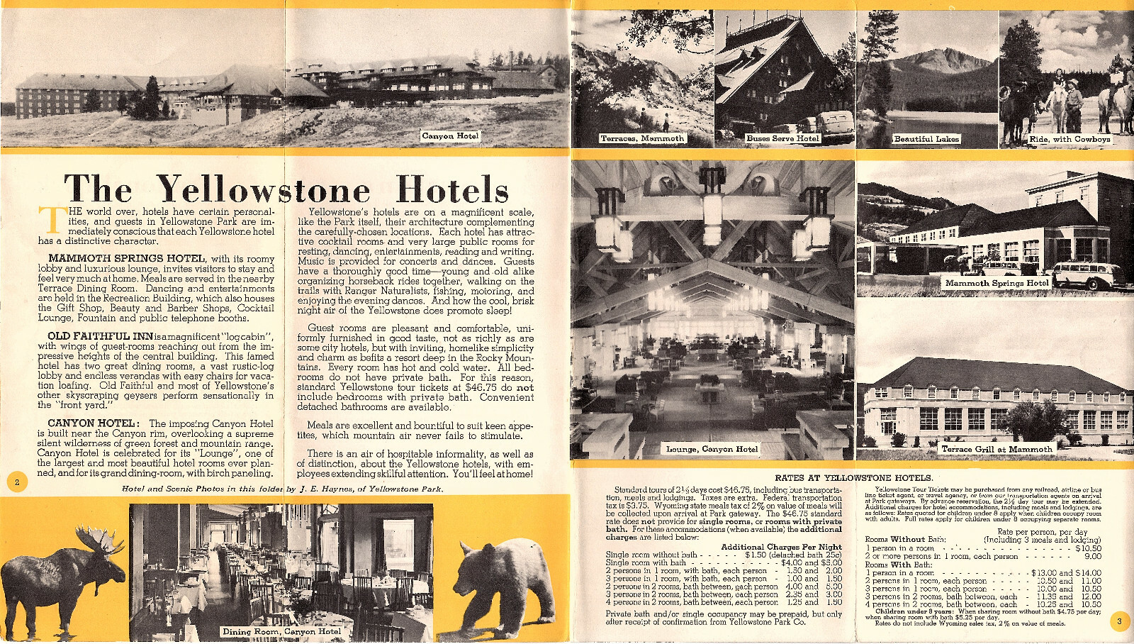 Yellowstone National Park 1952 Foldout Brochure Lodging Tours Photos Small Map