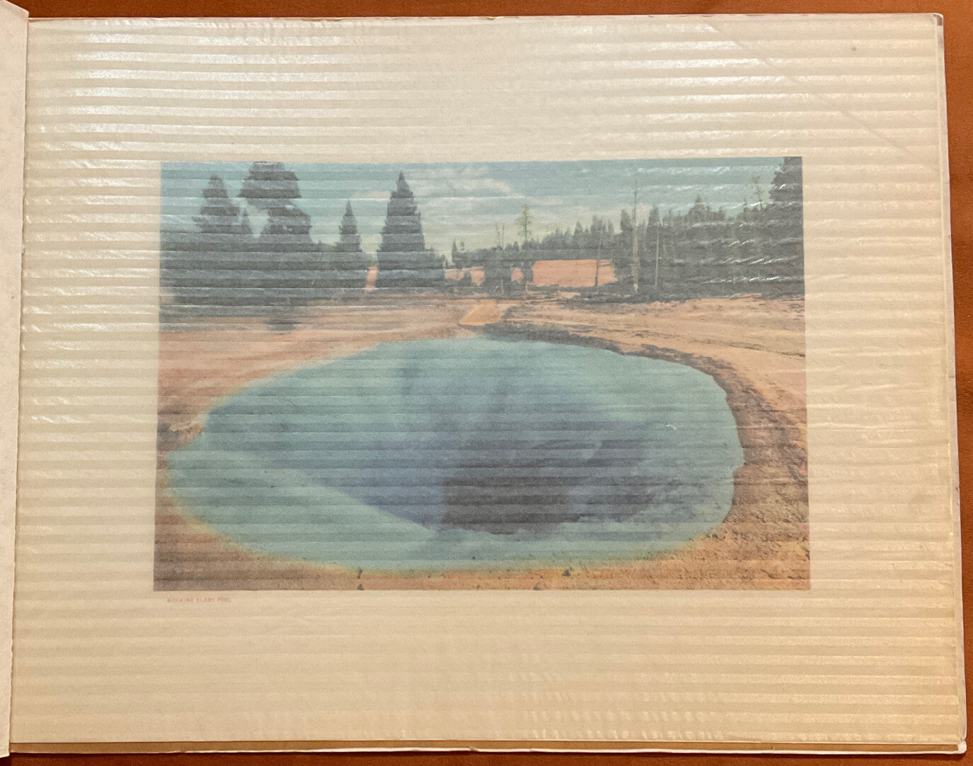 VINTAGE Yellowstone National Park Haynes Picture Shops Souvenir Booklet/Pic’s￼