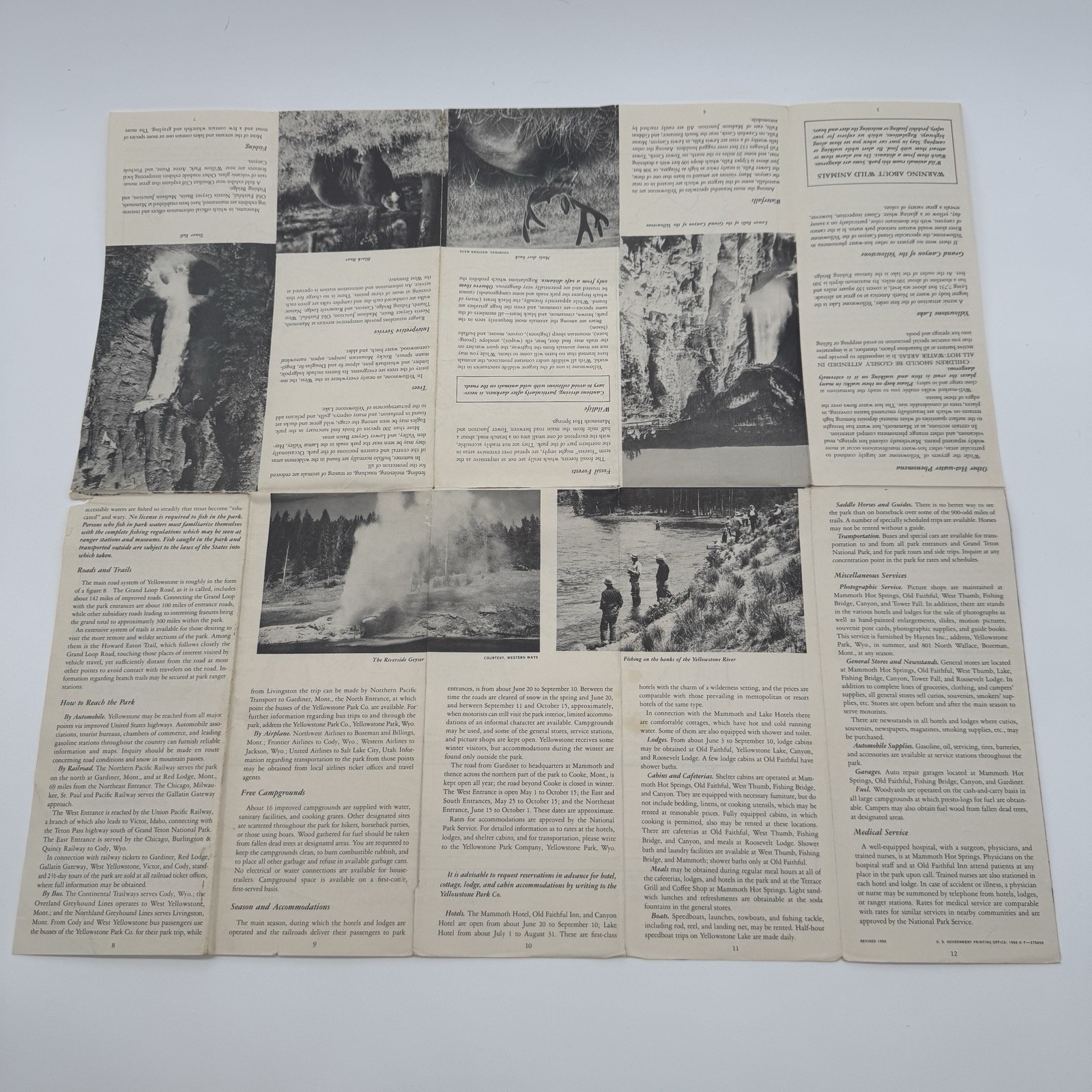 Vintage 1956 Yellowstone National Park Fold Out Brochure Map