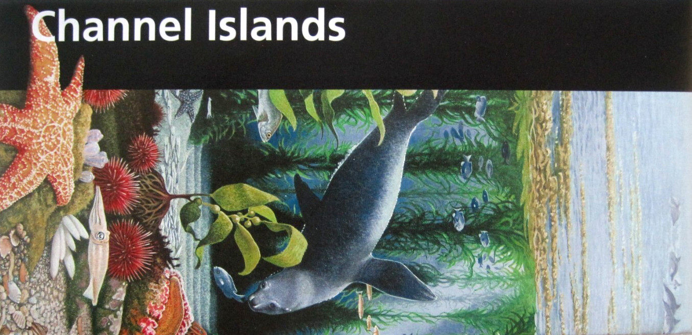 Channel Islands National Park National Park Service Unigrid Brochure Map