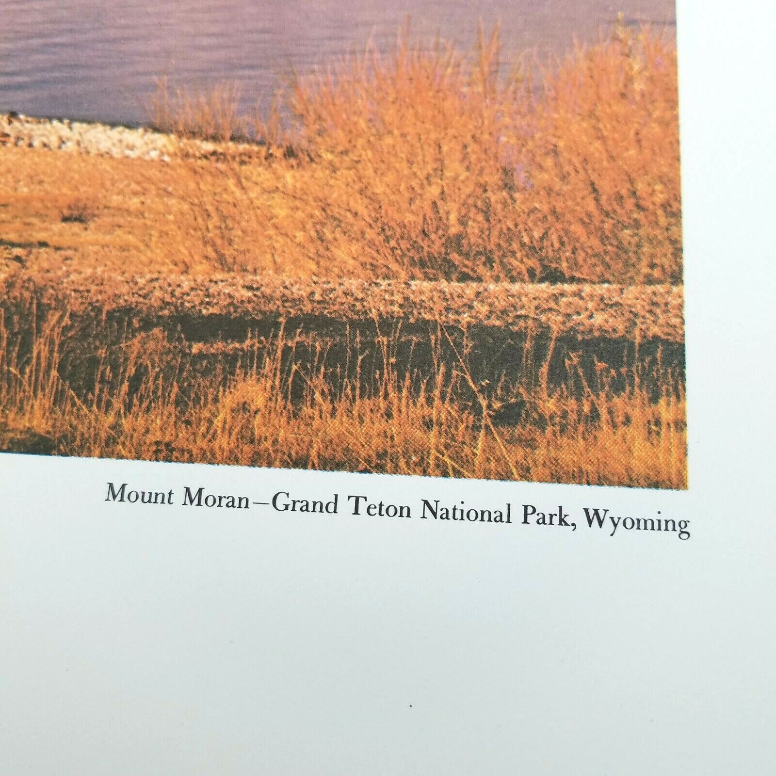 Mount Moran Grand Teton National Park Wyoming Poster Print Vintage 1969 18×24