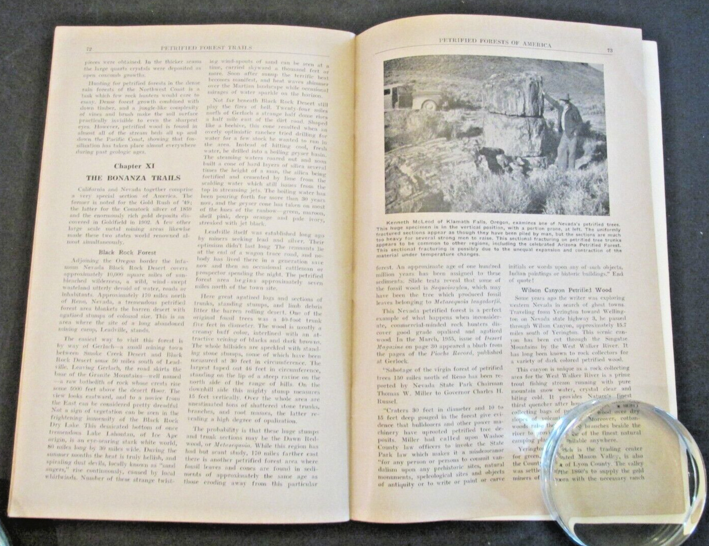 VTG 1955 Petrified Forest Trails Jay Ellis Ransom Booklet Pictures References