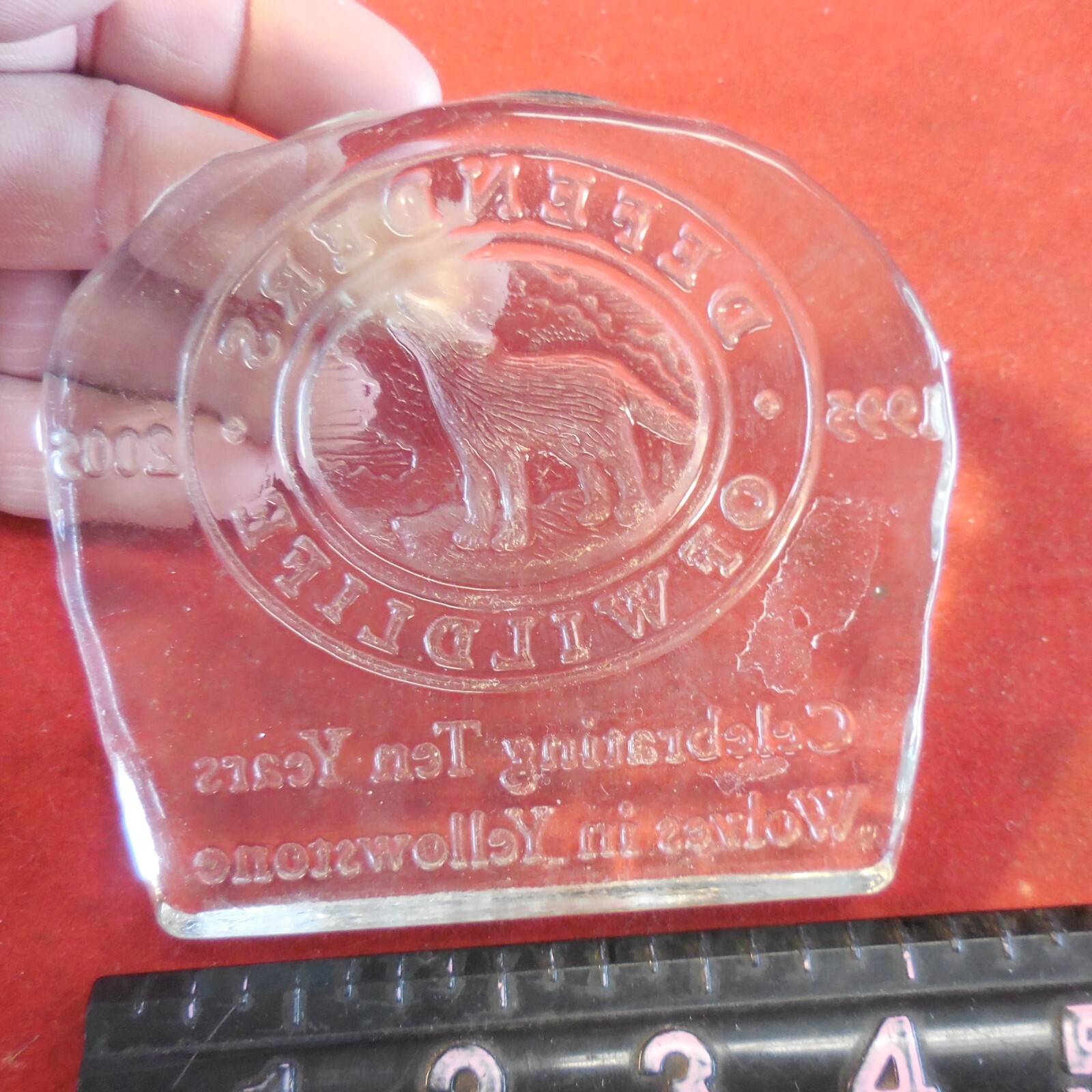 2005 Defenders of Wildlife 10 Years of Wolves in Yellowstone Glass Paperweight