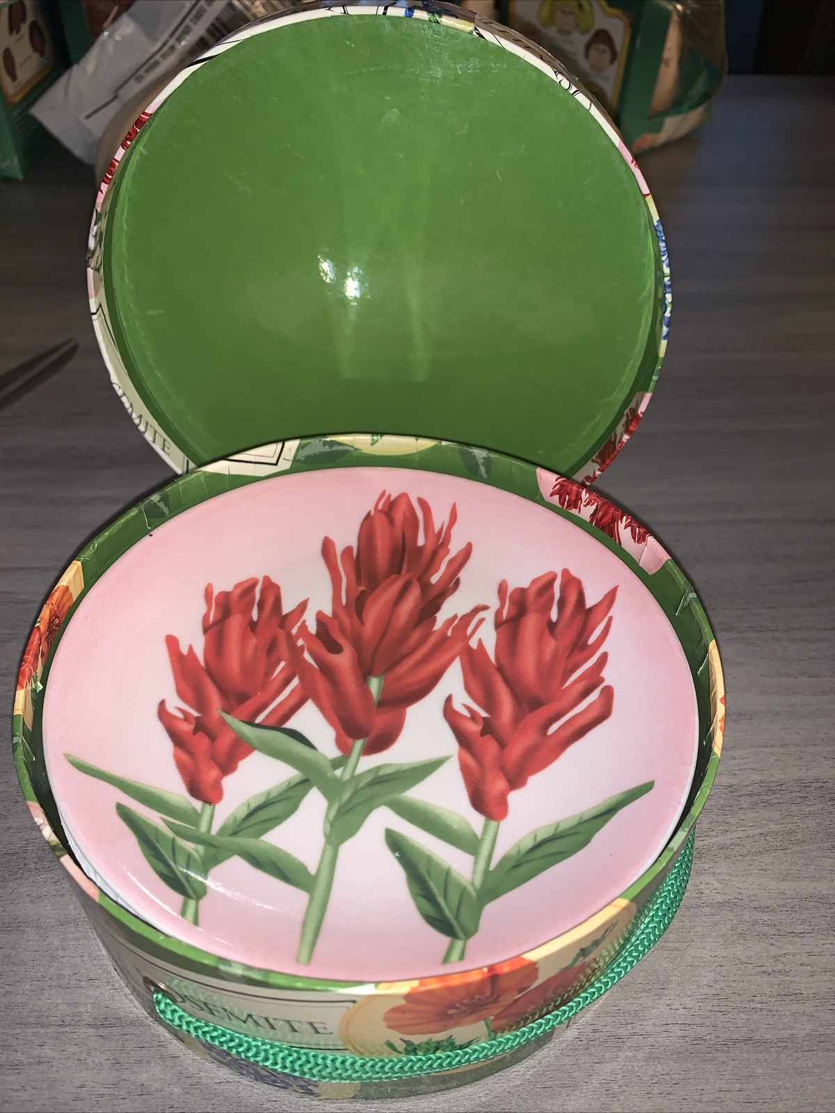 YOSEMITE FLORAL DESSERT PLATES: SET OF 4 YOSEMITE DNC PARKS AND RESORTS 6” NIB