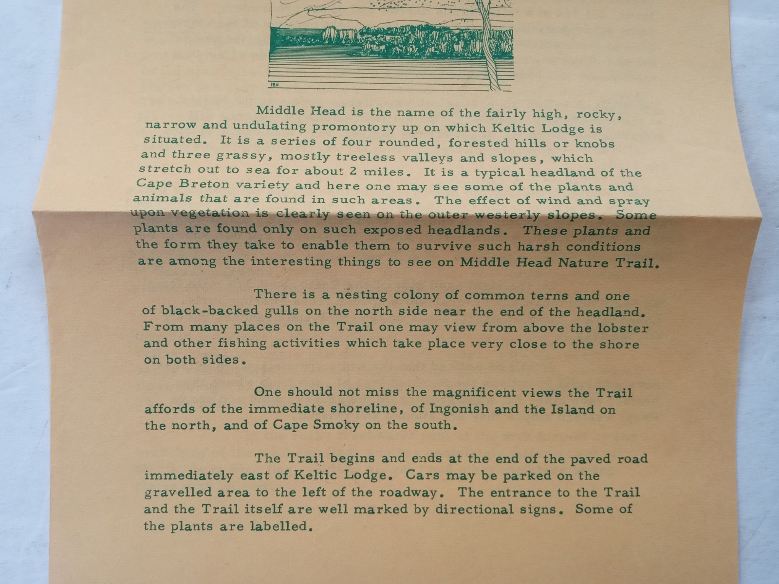 Cape Breton Highlands National Park 1968 MIDDLE HEAD NATURE TRAIL Pamphlet