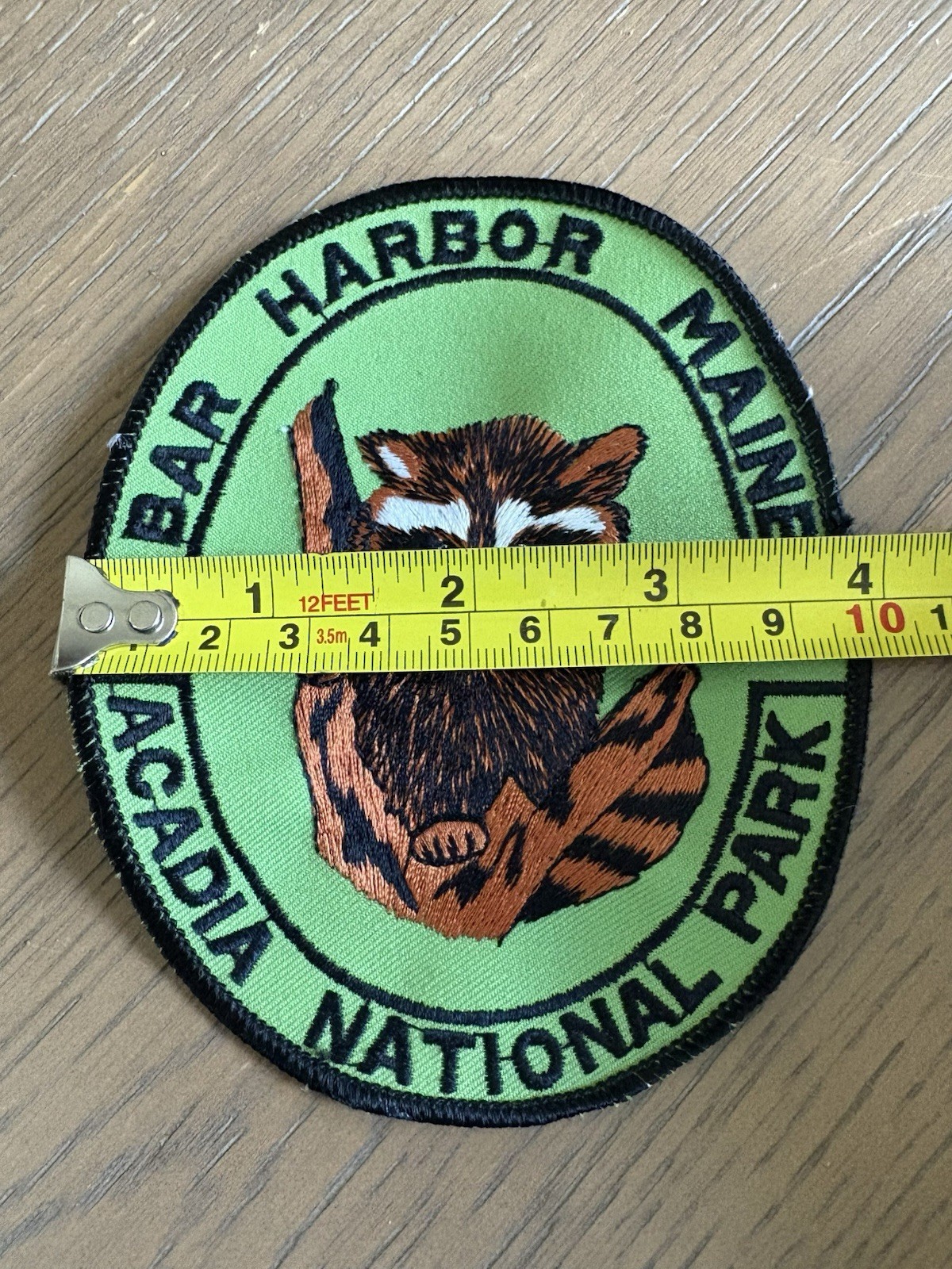 Bar Harbor Maine Acadia National Park Raccoon Patch Green 5×4”