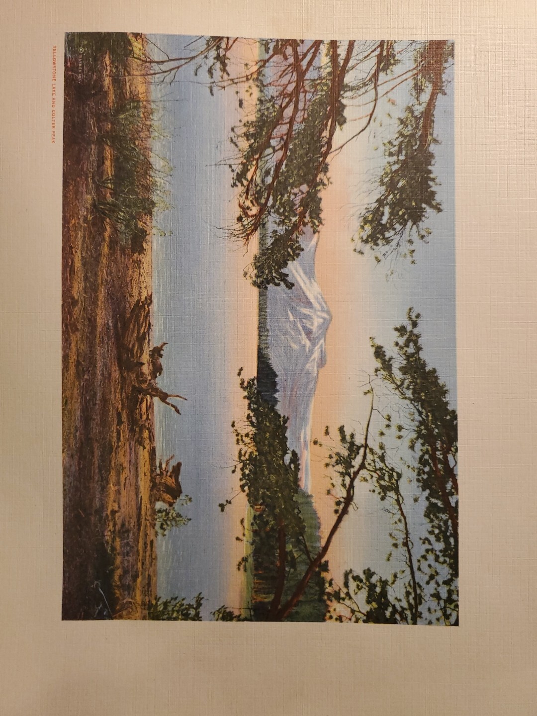 Vintage 1920s Haynes Souvenir Yellowstone National Park Colored Linen Prints