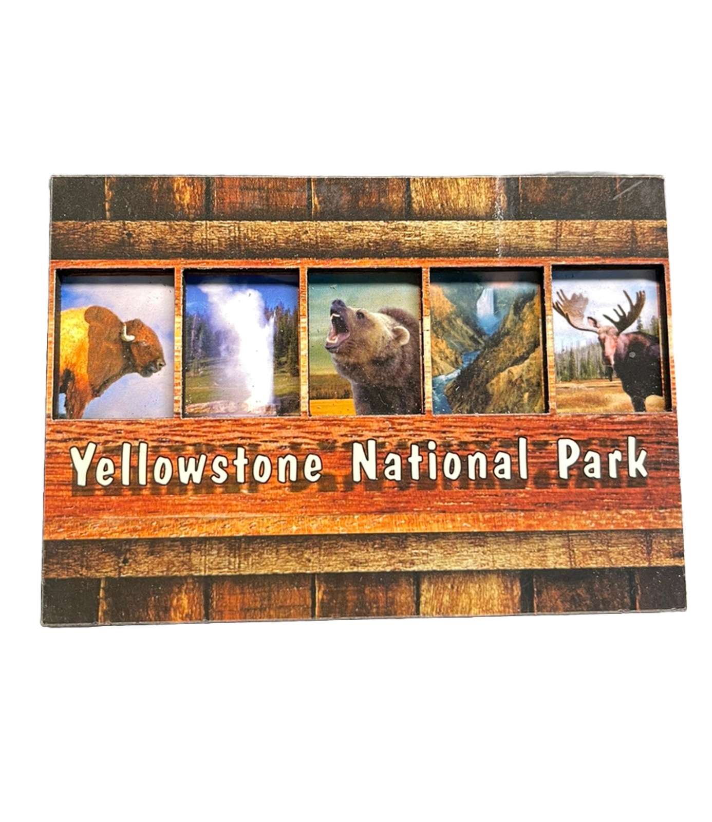 Yellowstone National Park Magnet Buffalo Geyser Old Faithful Wildlife