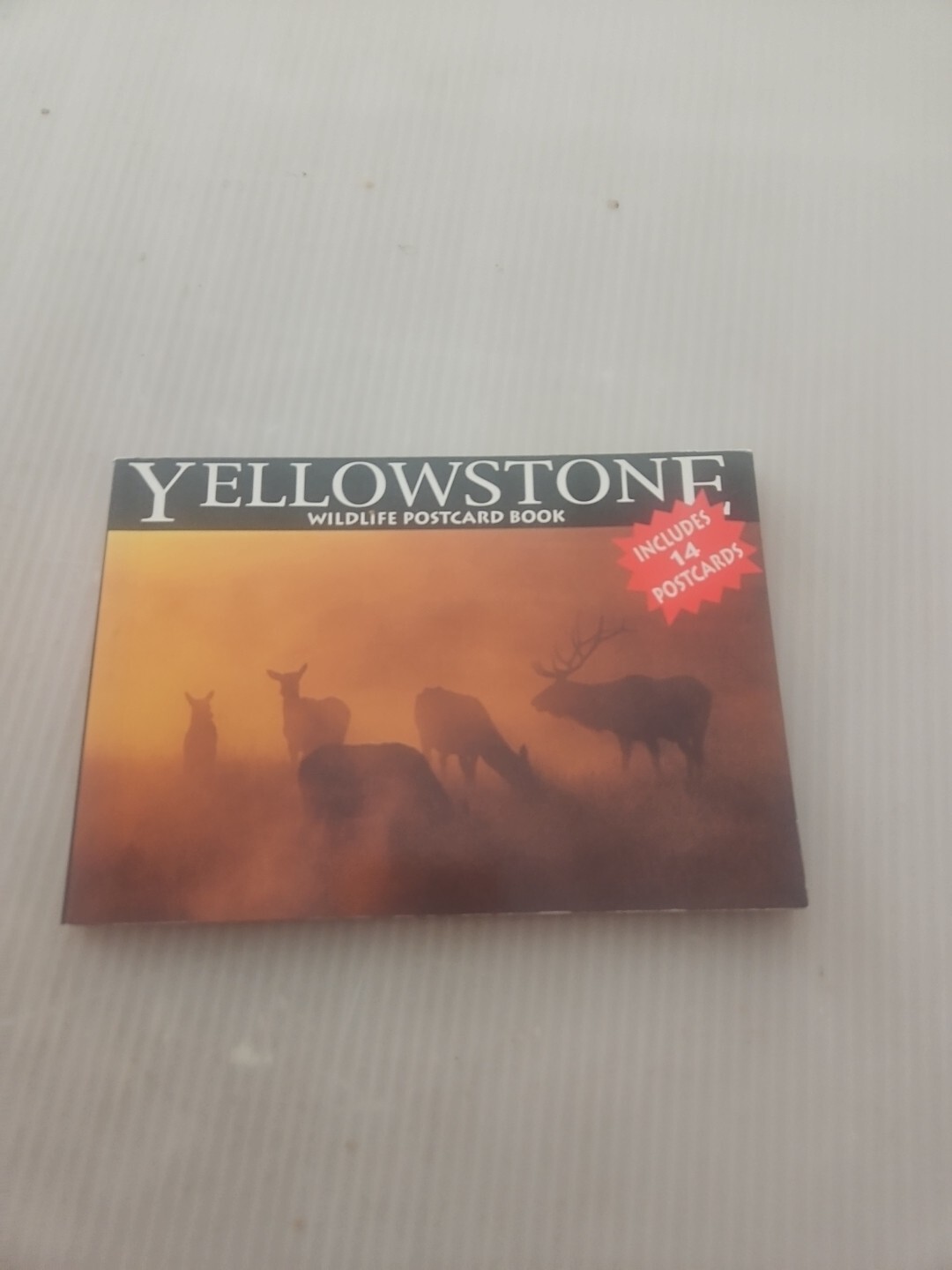 Vintage Yellowstone Wildlife Wish You Were Here Postcard Book, 14 Postcards EUC