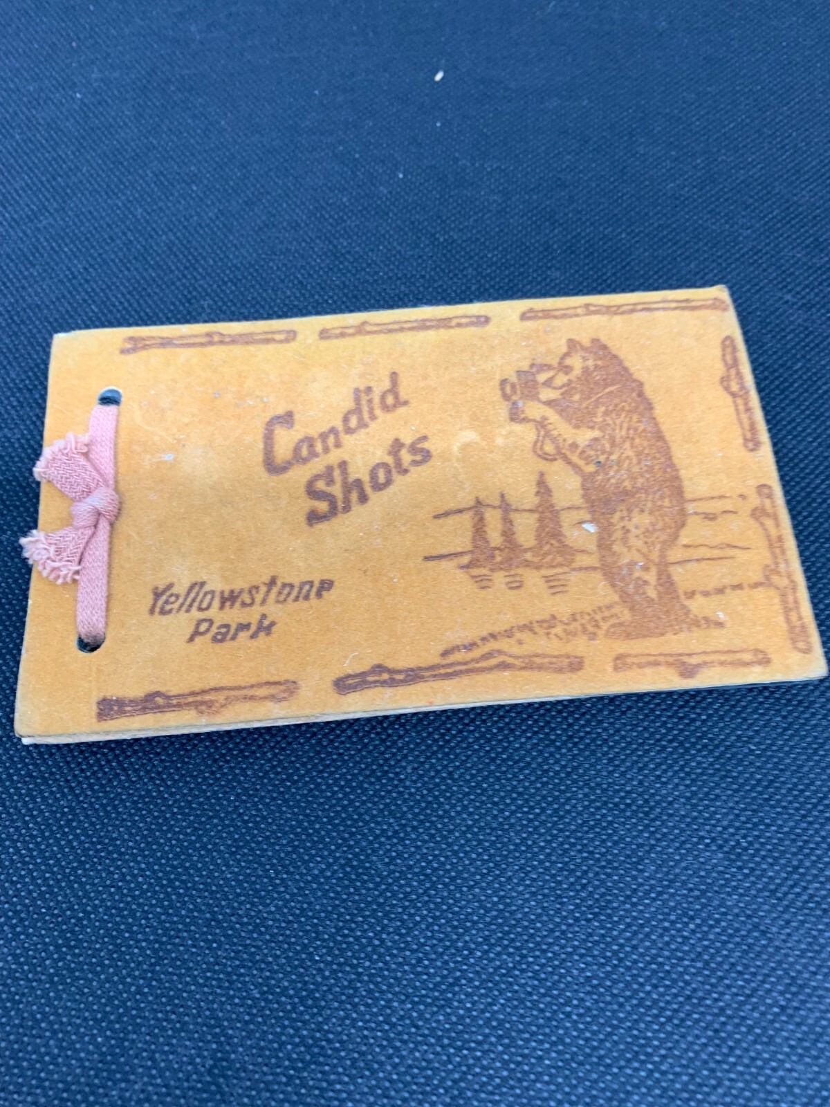 Vintage “Candid Shots” Small Album Yellowstone Park-Empty Flocked Bear