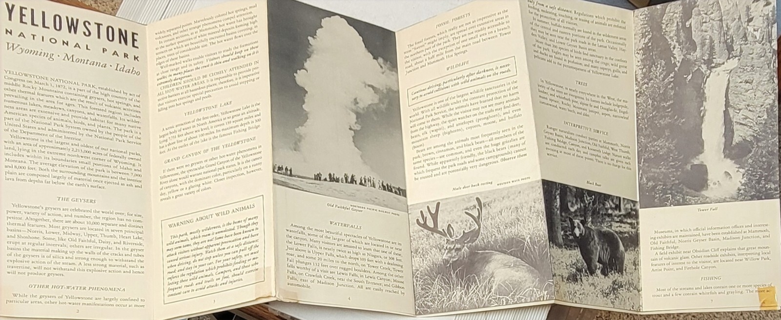 1953 YELLOWSTONE NATIONAL PARK MAP TK