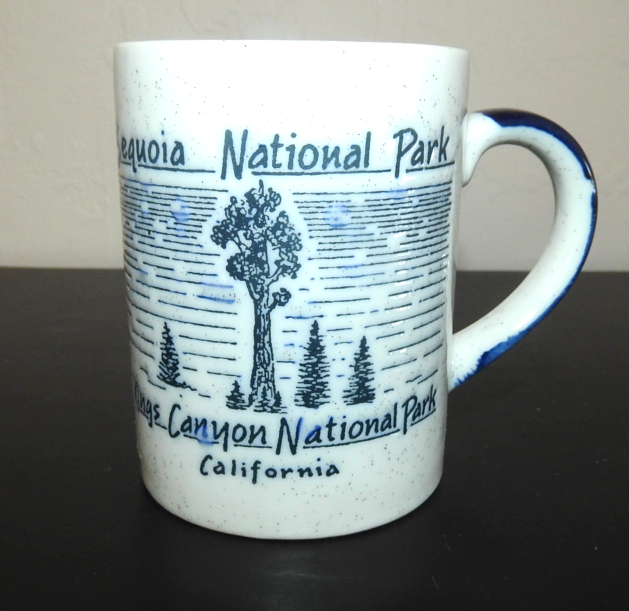 Sequoia & Kings Canyon National Park Ceramic Mug Embossed Park Scene & Facts