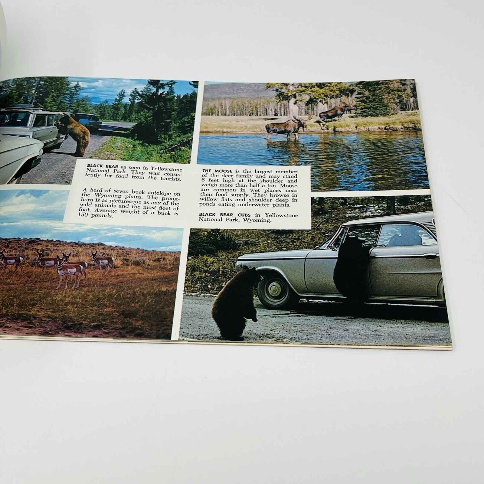 1960’s Yellowstone And Grand Teton Jackson Hole County Tourist Guide Map Book