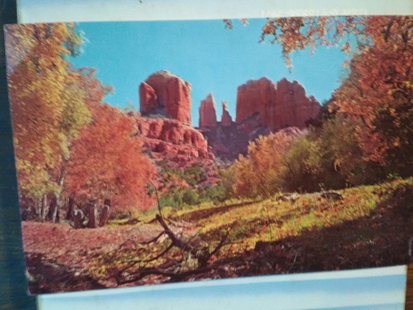 vintage POST CARD COURTHOUSE ROCK OAK CREEK CANYON ARIZONA