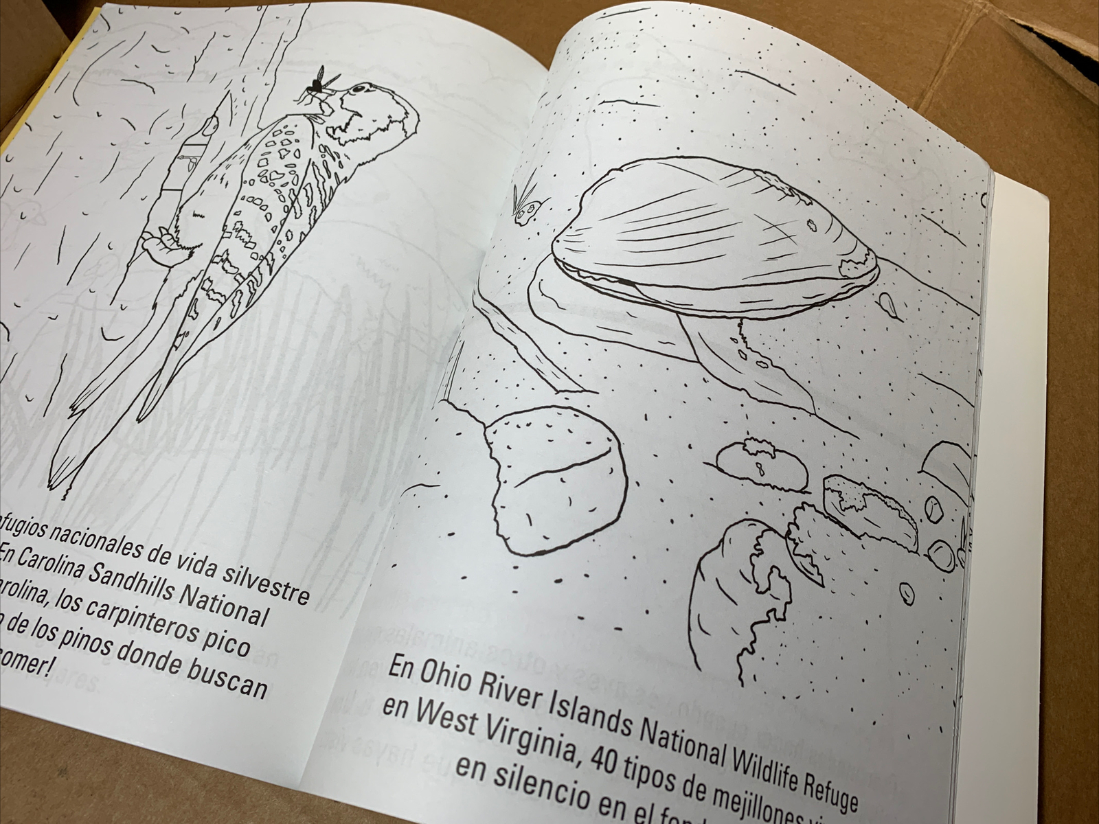 Oct 2009 US Fish & Wildlife Service COLORING BOOK SPANISH – NEW / UNUSED