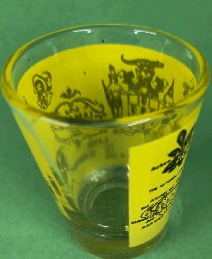Vintage JAMAICA WEST INDIES Souvenir Shot Glass