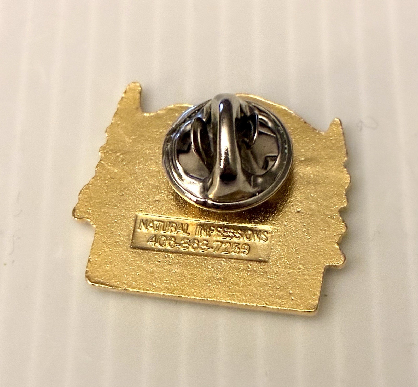 Mount Rainier National Park Lapel Pin Scenic Mountain Souvenir Enamel Mt Vintage