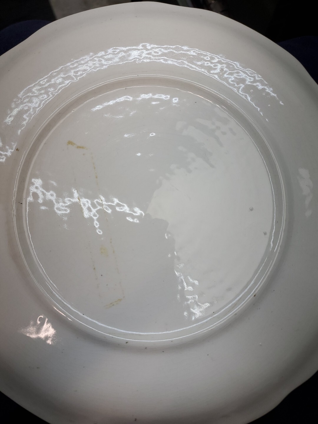 Vintage Yellowstone National Park Souvenir Plate 9” Gold Accents
