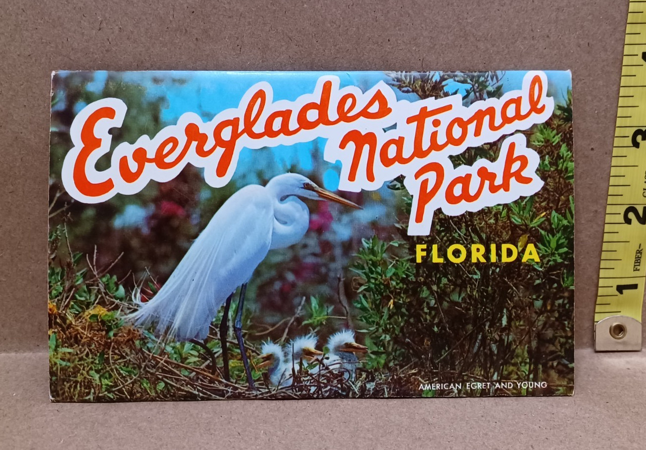 Everglades National Park (14 Views in Color) – Vintage 1962 Souvenir Postcard