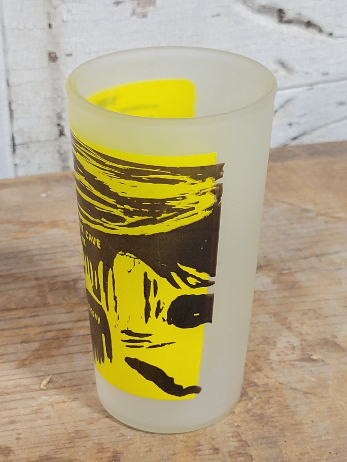 Vintage Mammoth Onyx Cave Kentucky KY Frosted Glass Souvenir Tumbler Horse