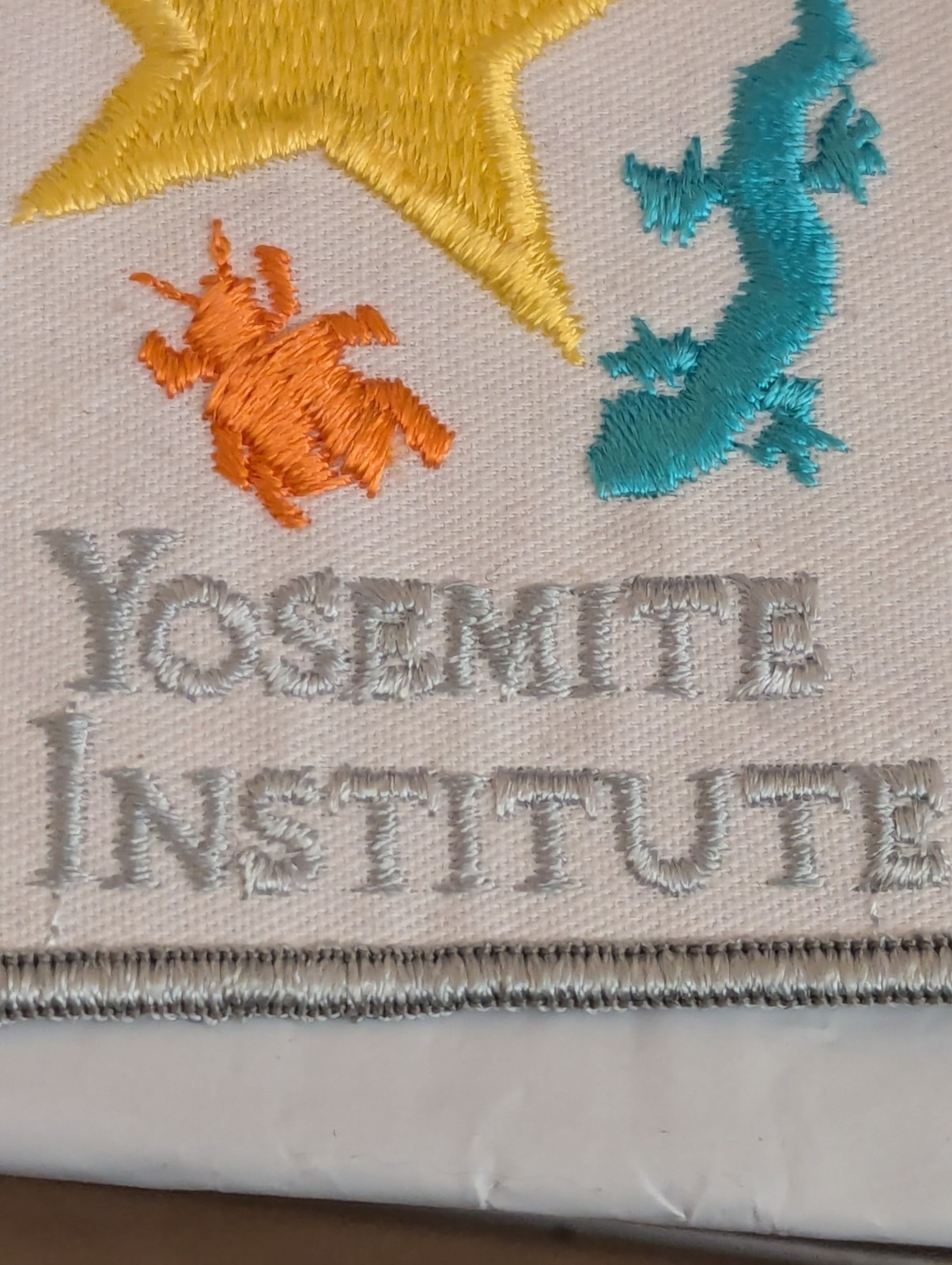 Yosemite Institute Patch (AKA Nature Bridge) Bat Star Lizard Insect on white.