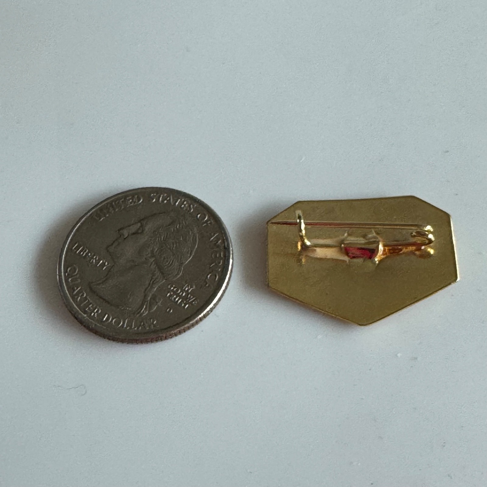 Vintage Intendencia Parque Nacional Los Alerces Argentina National Park Pin