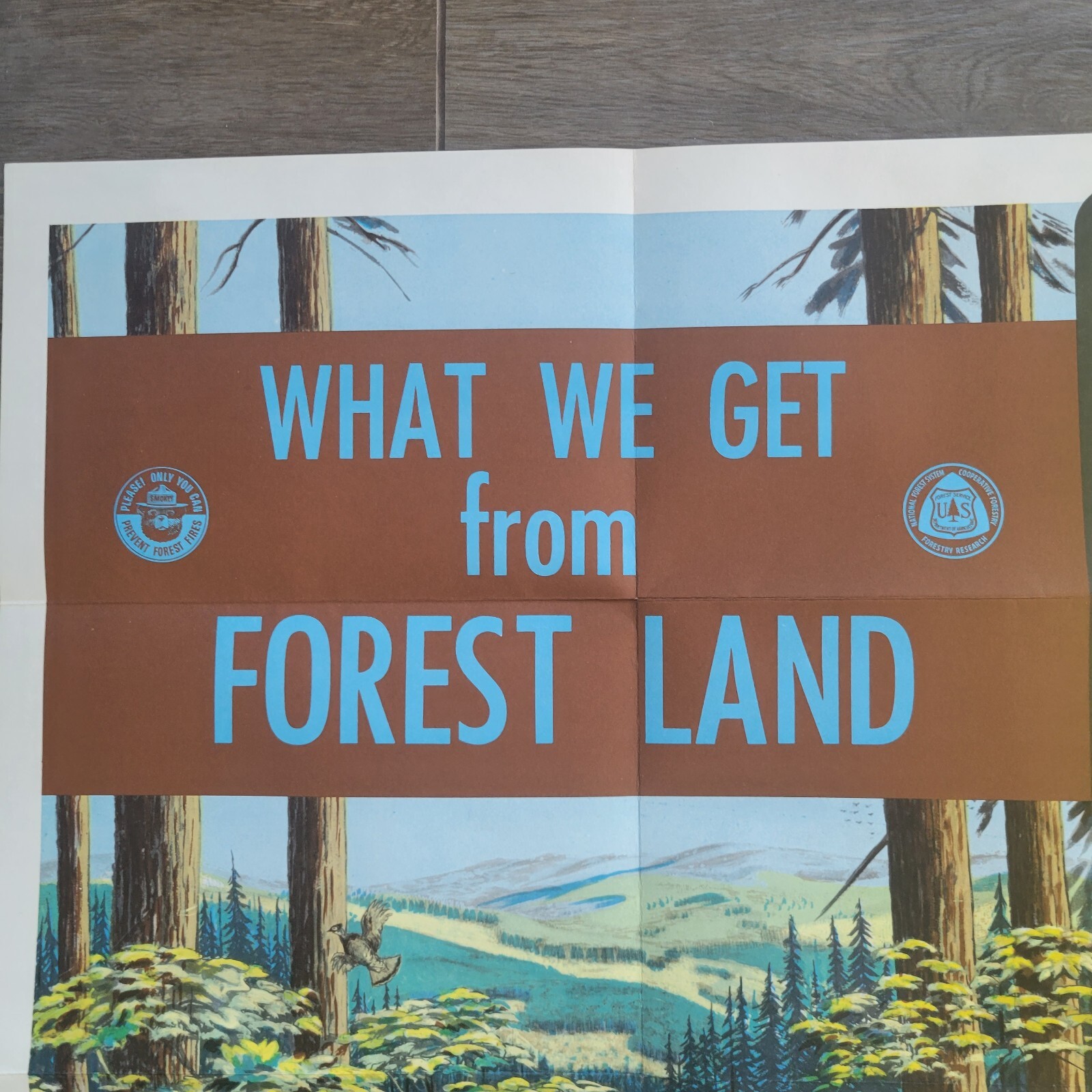Vintage 1968 US National Forest Service Poster Educational Smokey the Bear 40×32