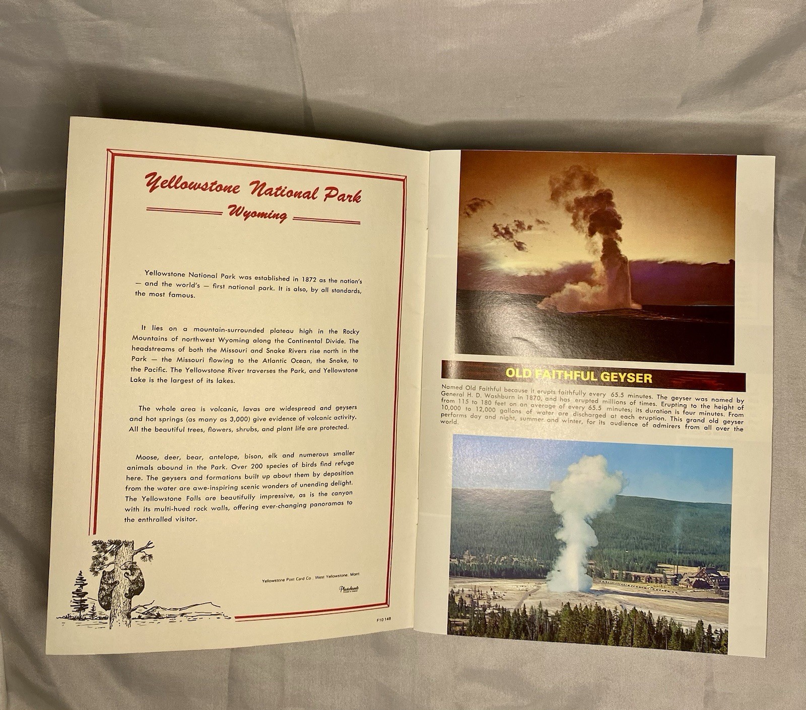 🏕️ Vintage Travel Book Lot of 4 1970s Yellowstone National Park Guides