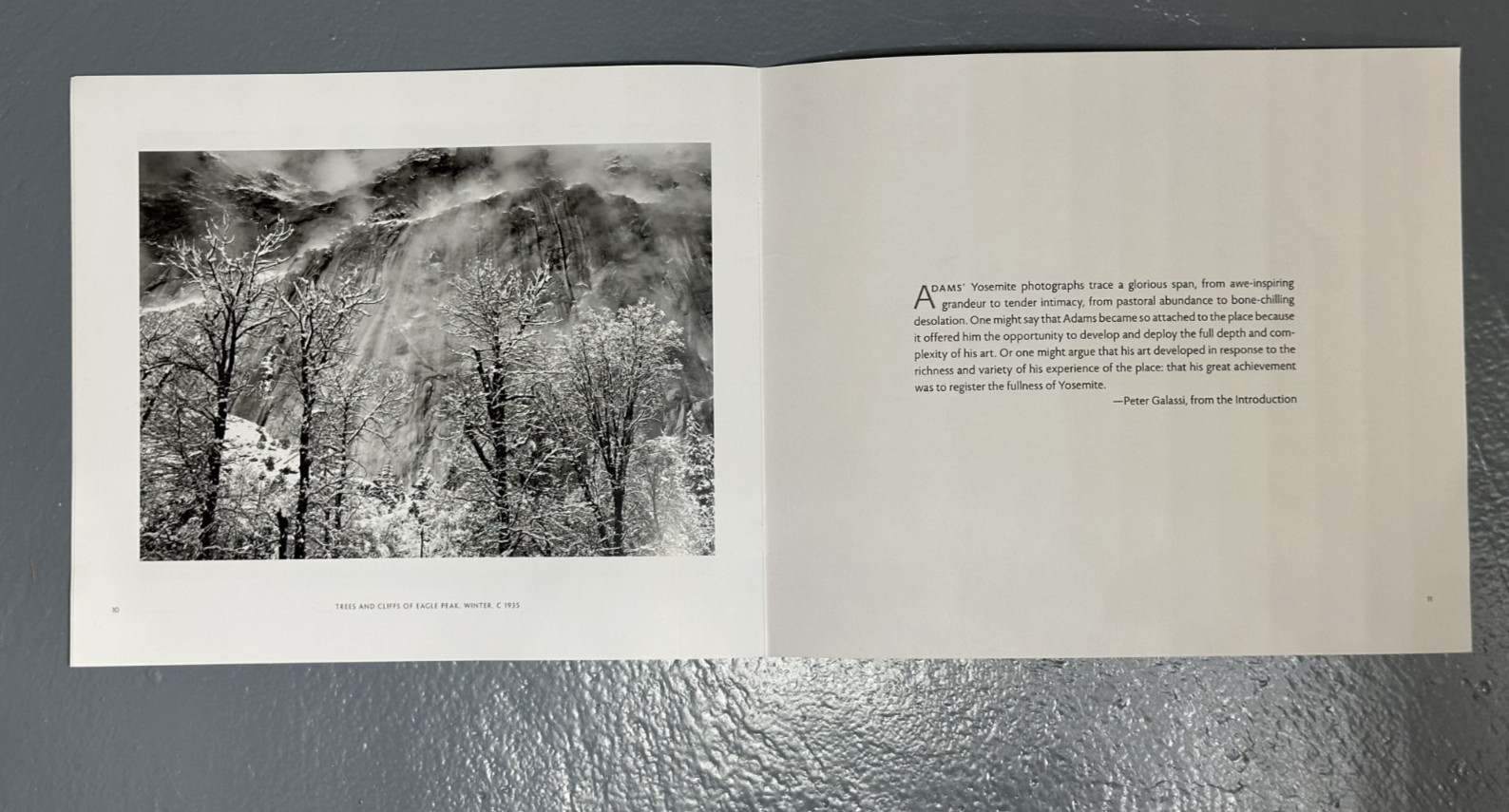 ANSEL ADAMS in YOSEMITE VALLEY Celebrating PARK at 150 Peter Galassi 2014 PROOF