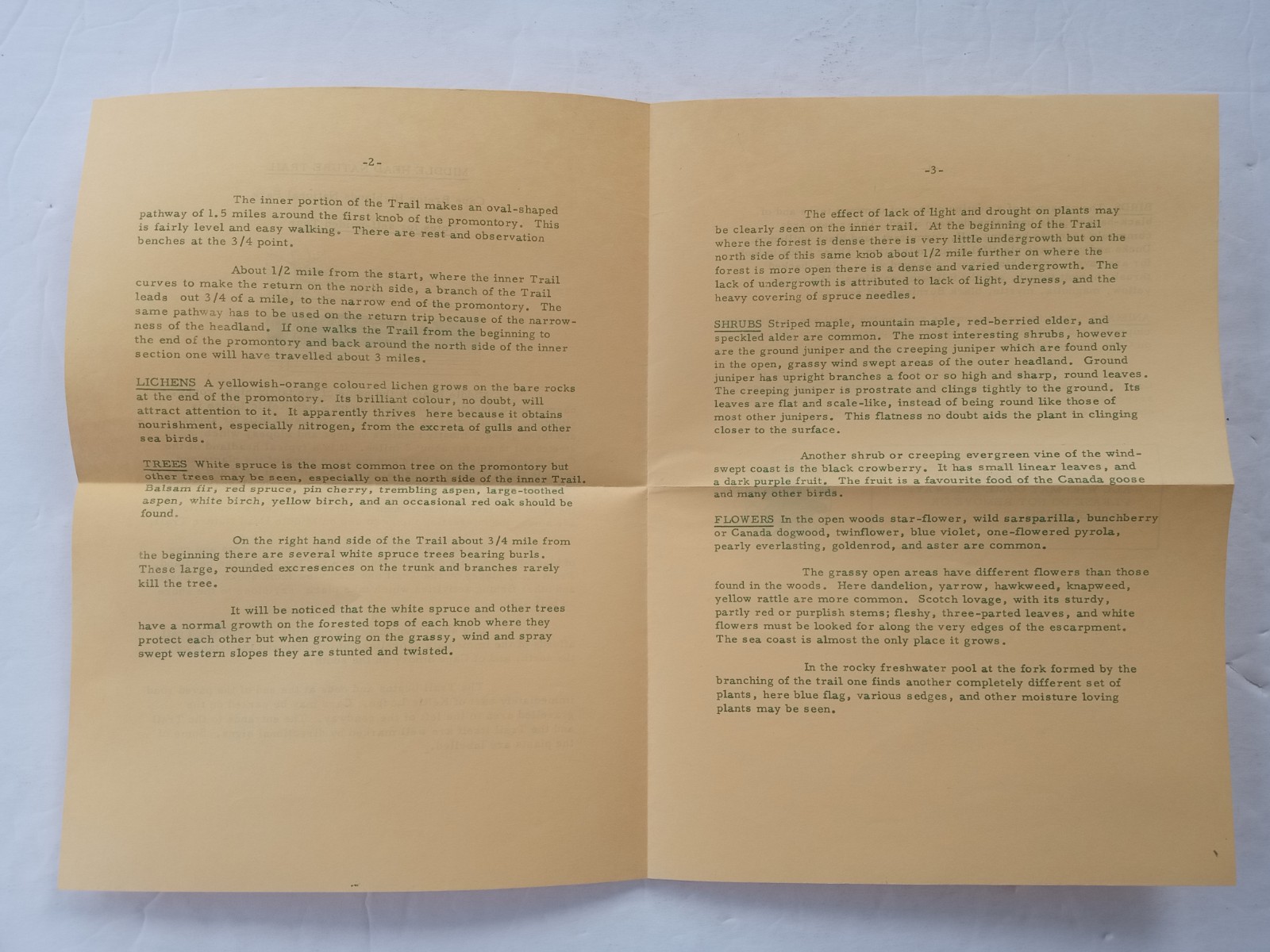 Cape Breton Highlands National Park 1968 MIDDLE HEAD NATURE TRAIL Pamphlet
