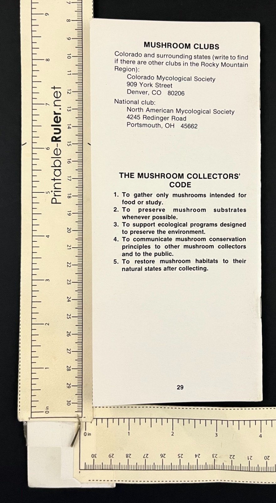 1979 Wild Mushrooms Guide Rocky Mountains National Park Vintage Travel Booklet