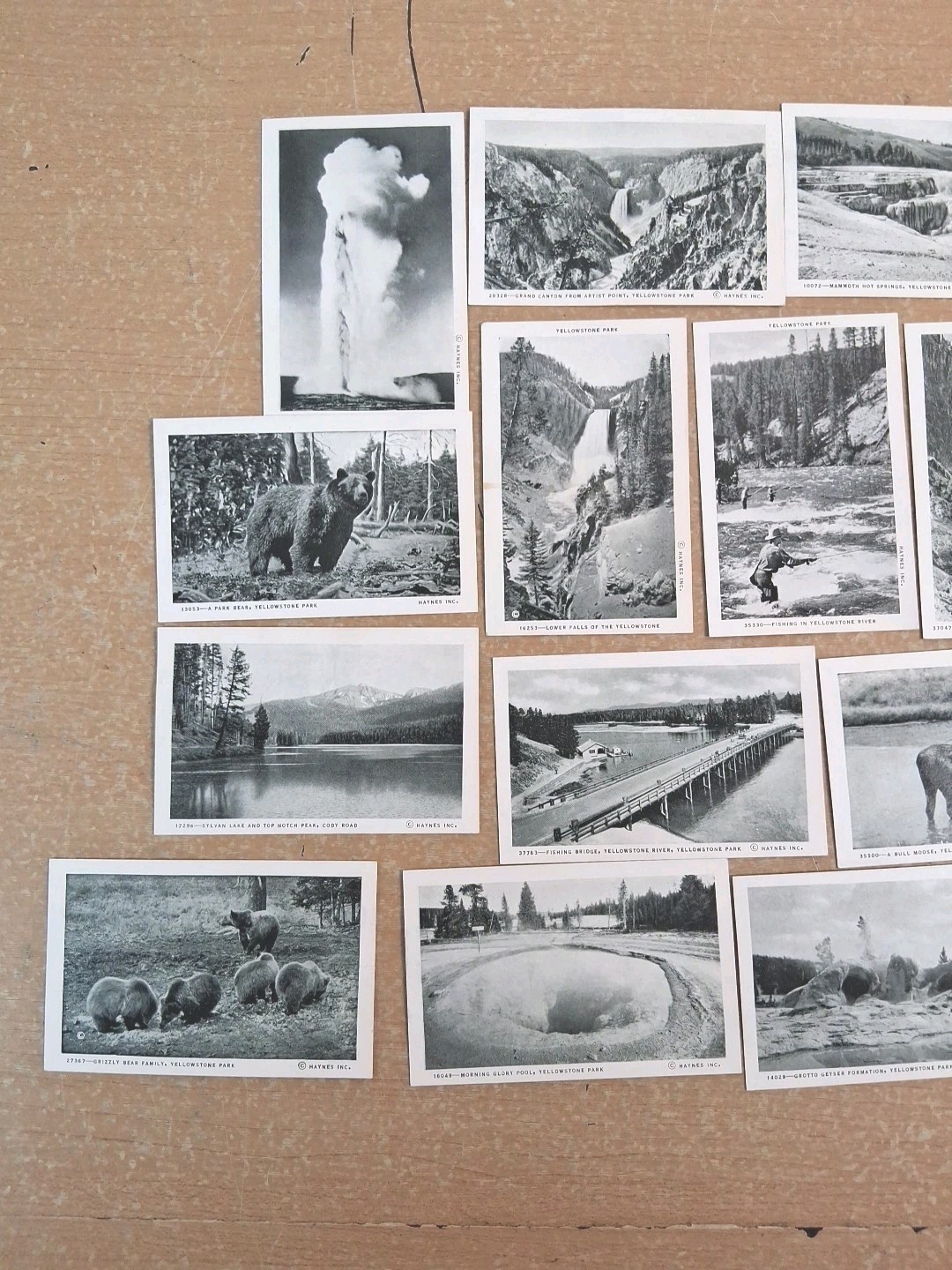 Yellowstone National Park 20 Souvenir Views Miniature Real Photo Cards Vintage