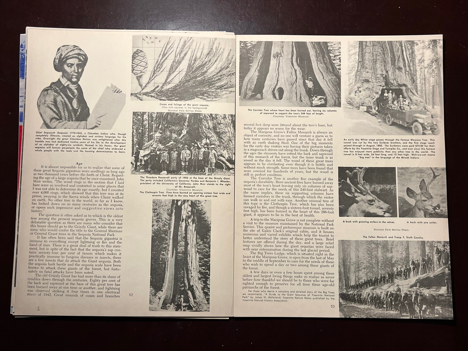 ** The Yosemite Story, (Maps- History- Romance) Souvenir Magazine, 1955