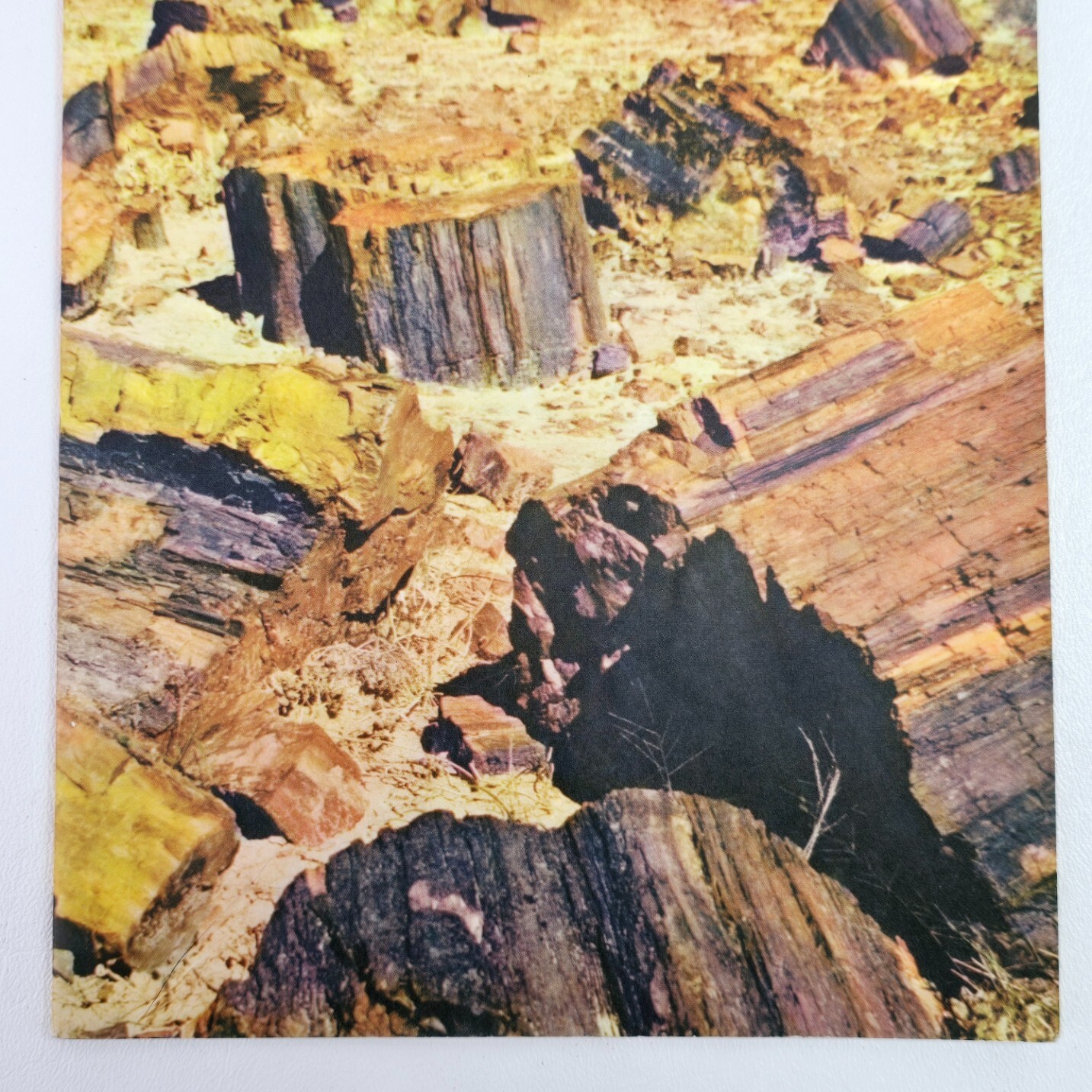 1951 A Story of The Petrified Forest Agatized Rainbows Popular Series No. 3 Book