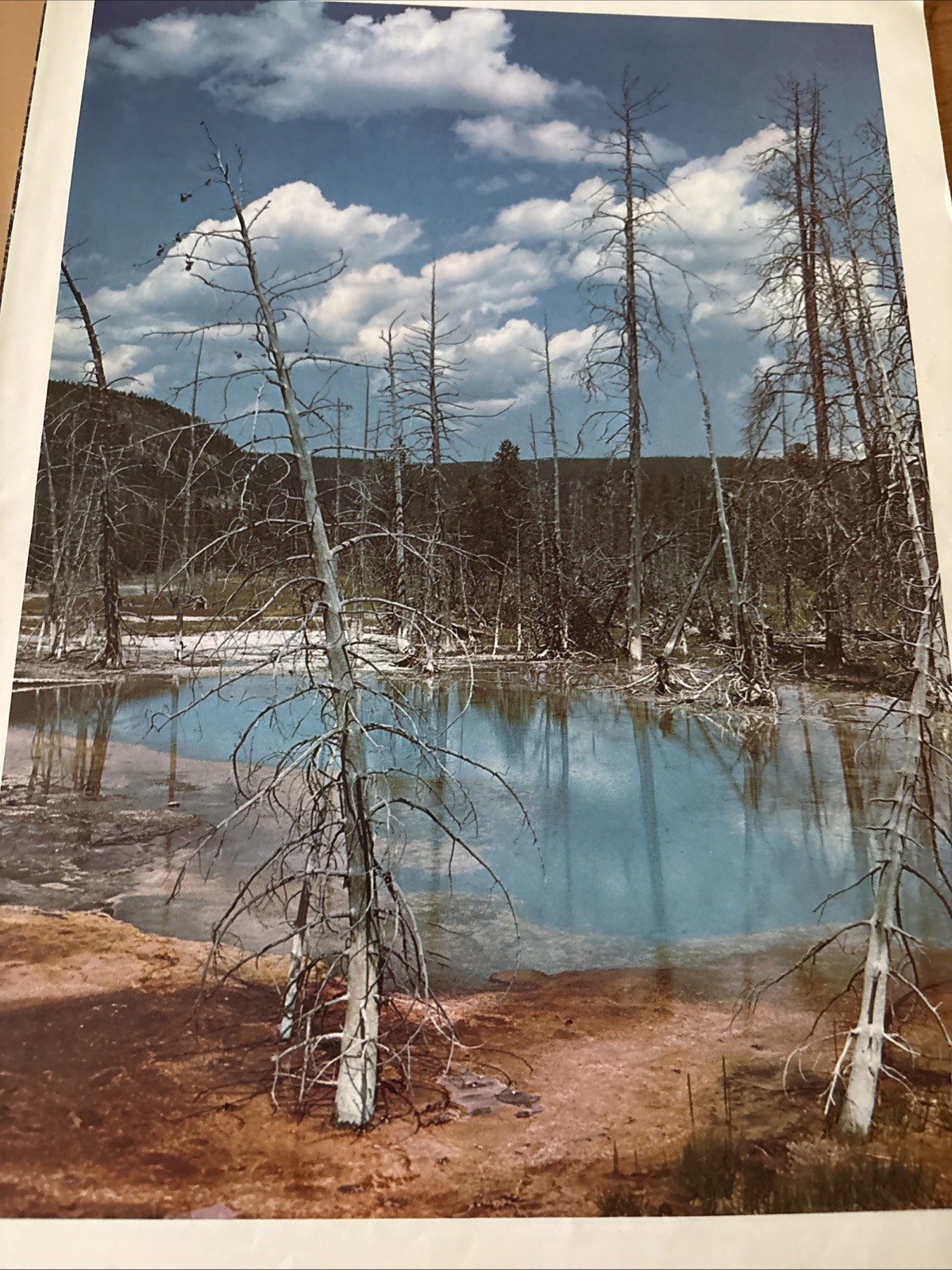 National Parkways Yellowstone National Park Souvenir Guide Book (1971/PB)