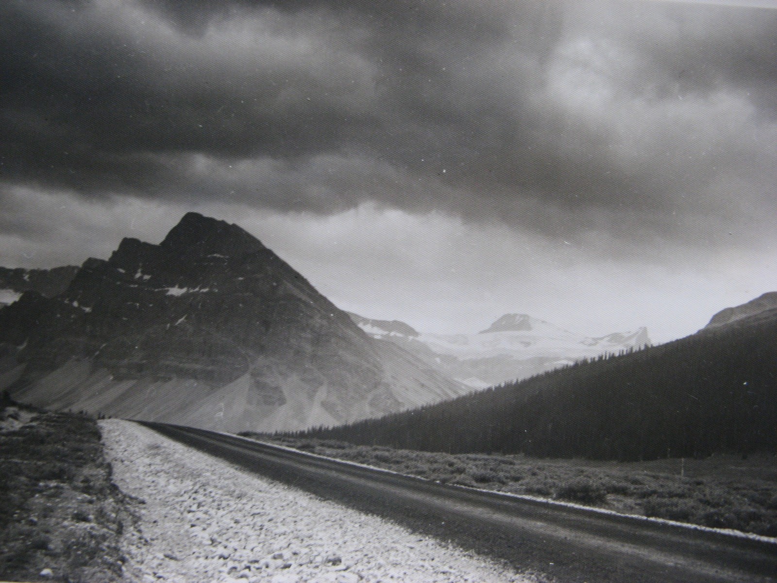 ’30s YELLOWSTONE PARK 51 PHOTO SET 8x10s & rppc size STUNNING! w GLACIER & BANFF