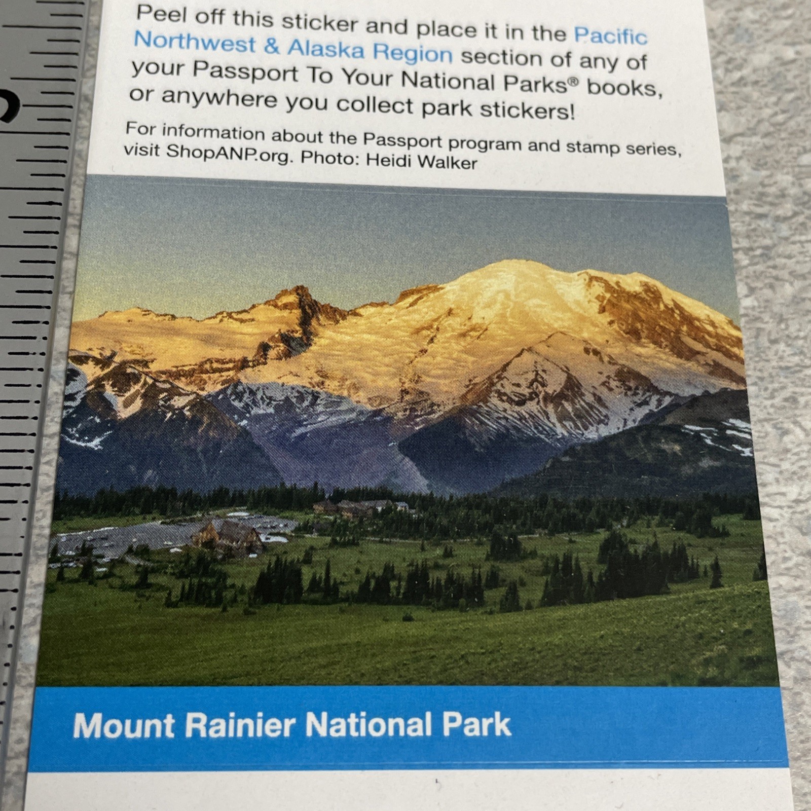 Mount Rainier National Park Passport Stamp – New