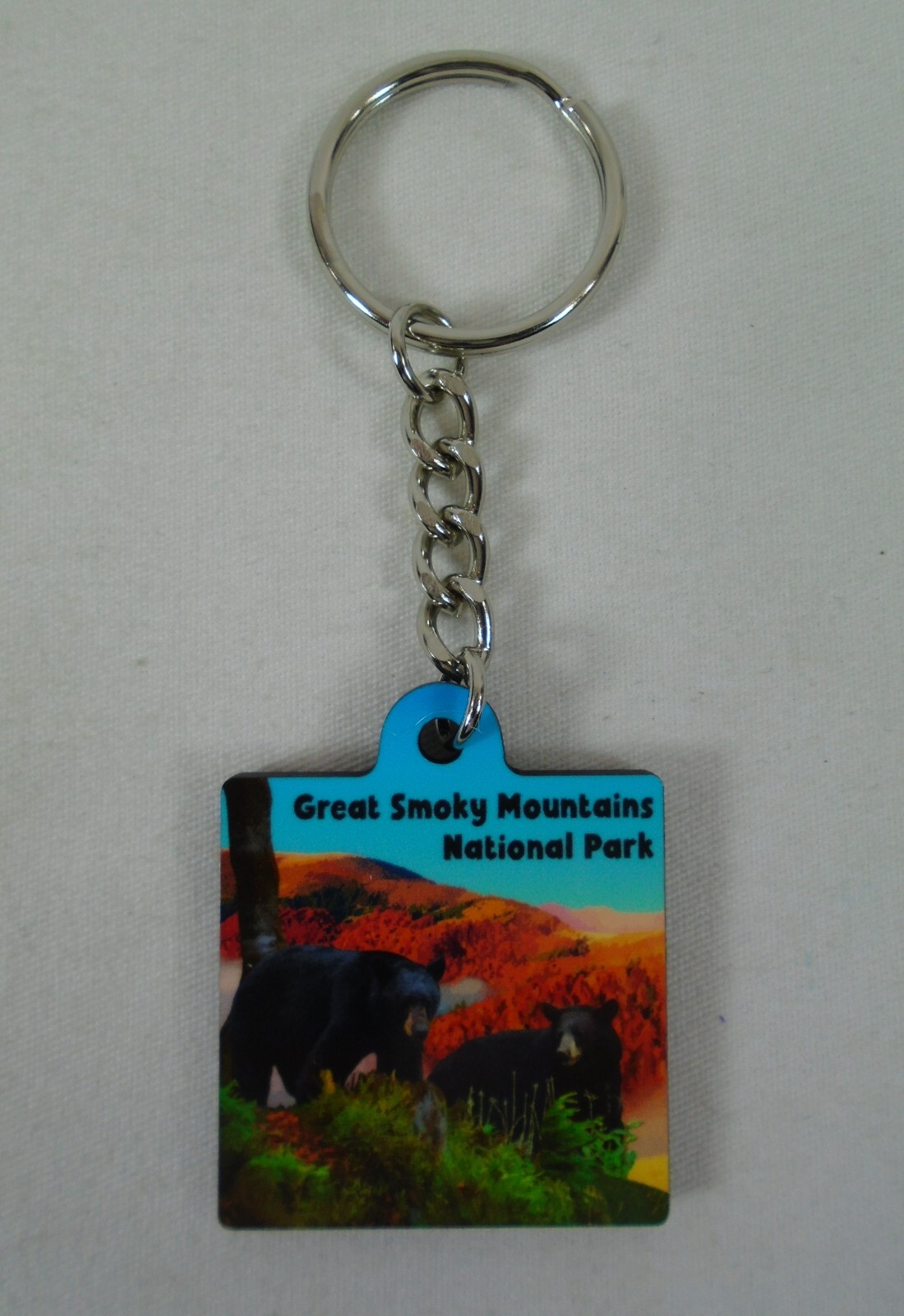 Great Smoky Mountains National Park Black Bear & Cub Keychain Souvenir Ring Fob