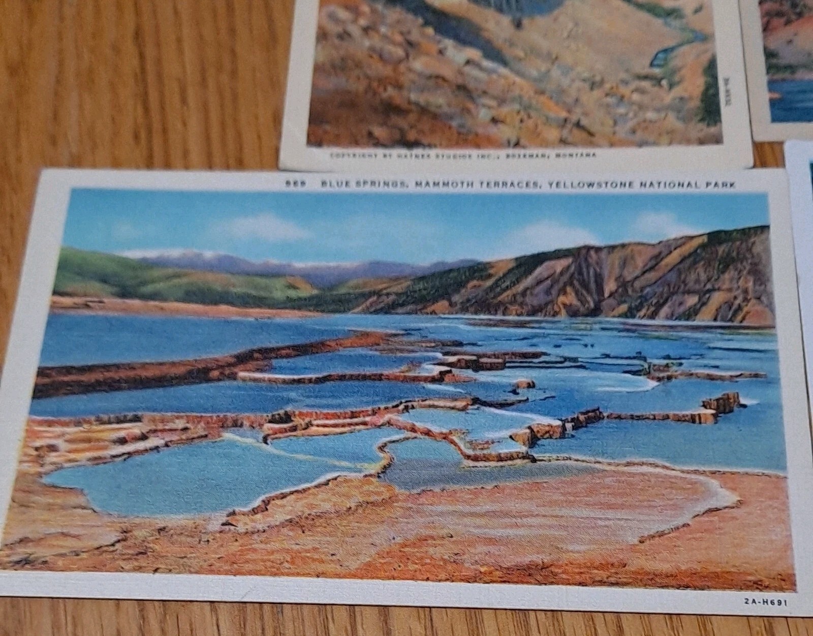 Lot Of 6 Vintage Yellowstone Park Postcards D2